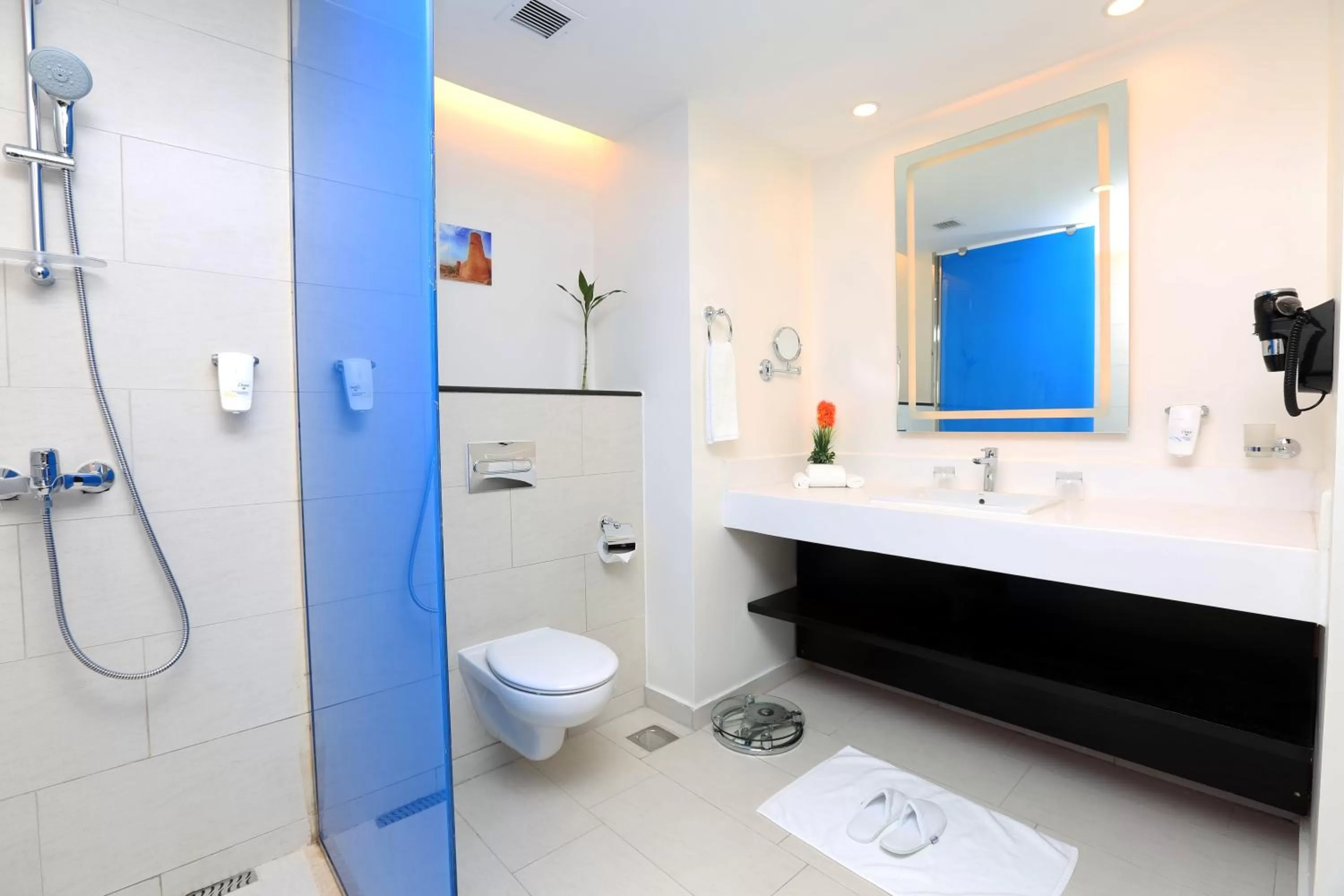 Shower in Park Inn by Radisson Najran