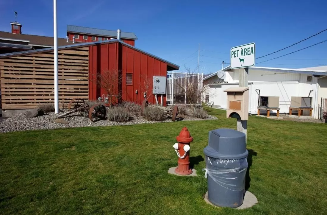 Area and facilities in Cousin's Country Inn