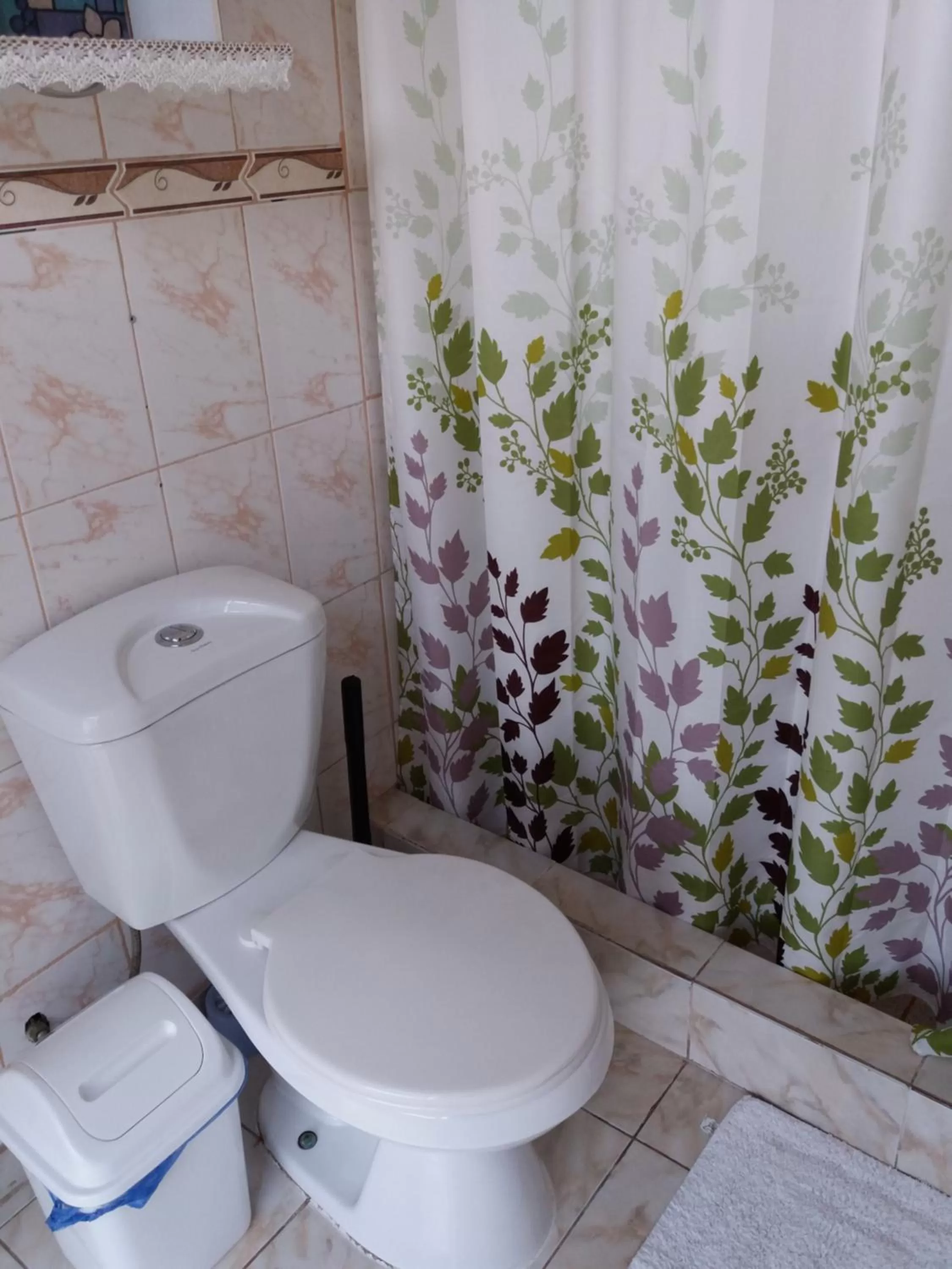 Shower in Hostal Destino Bellavista