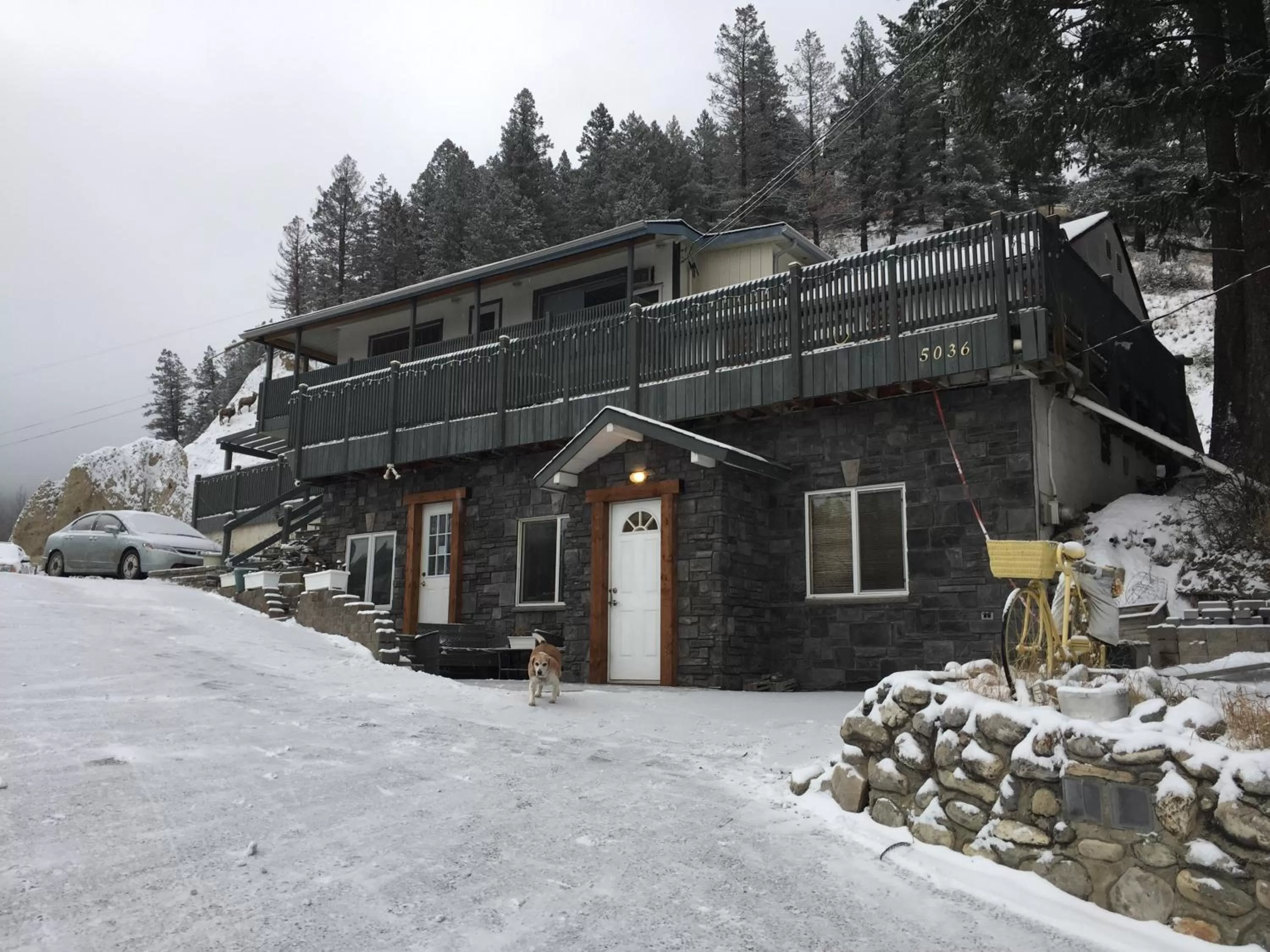 Property building, Winter in Misty River Lodge