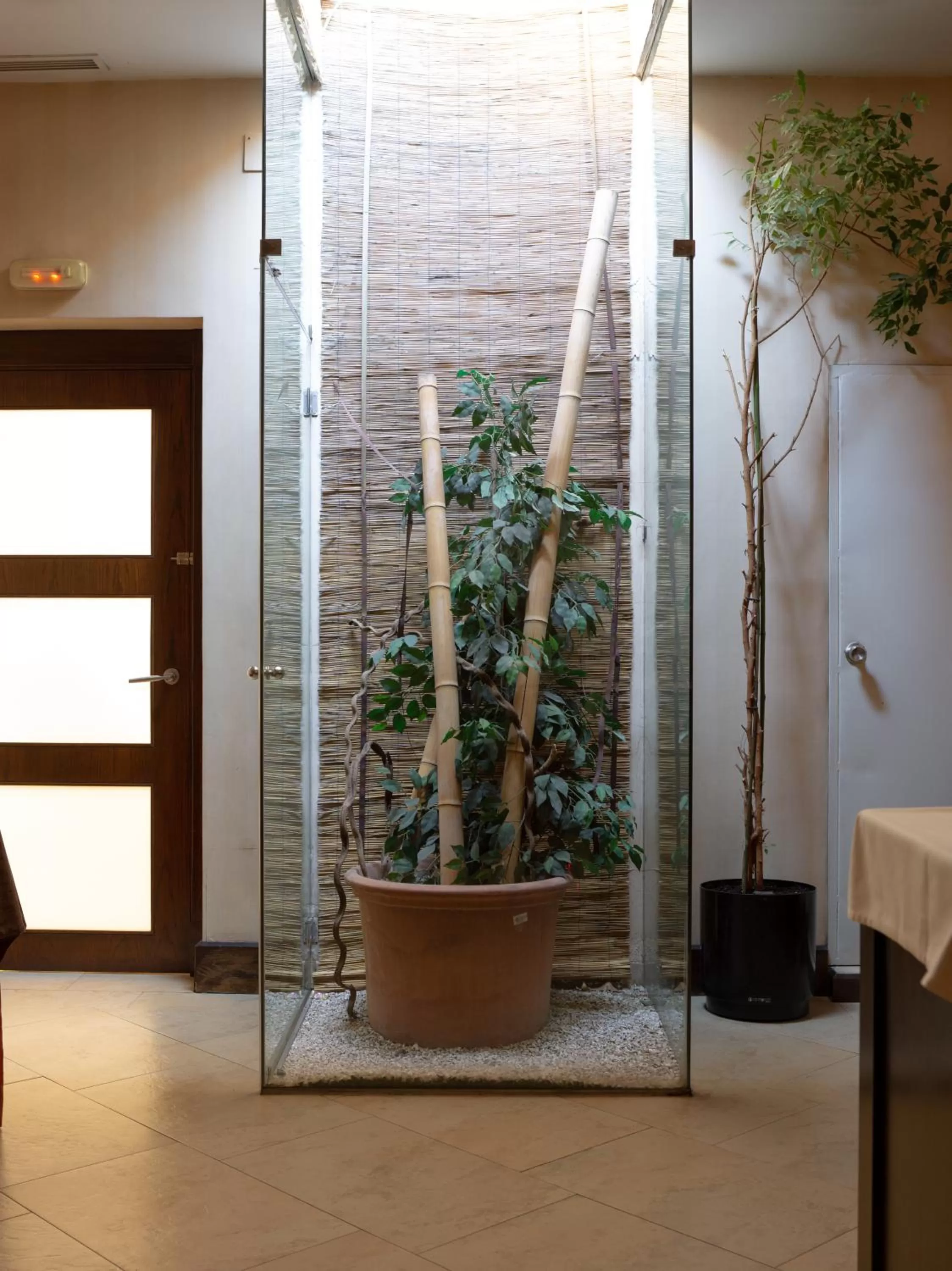 Restaurant/places to eat in Hotel Villa de Barajas