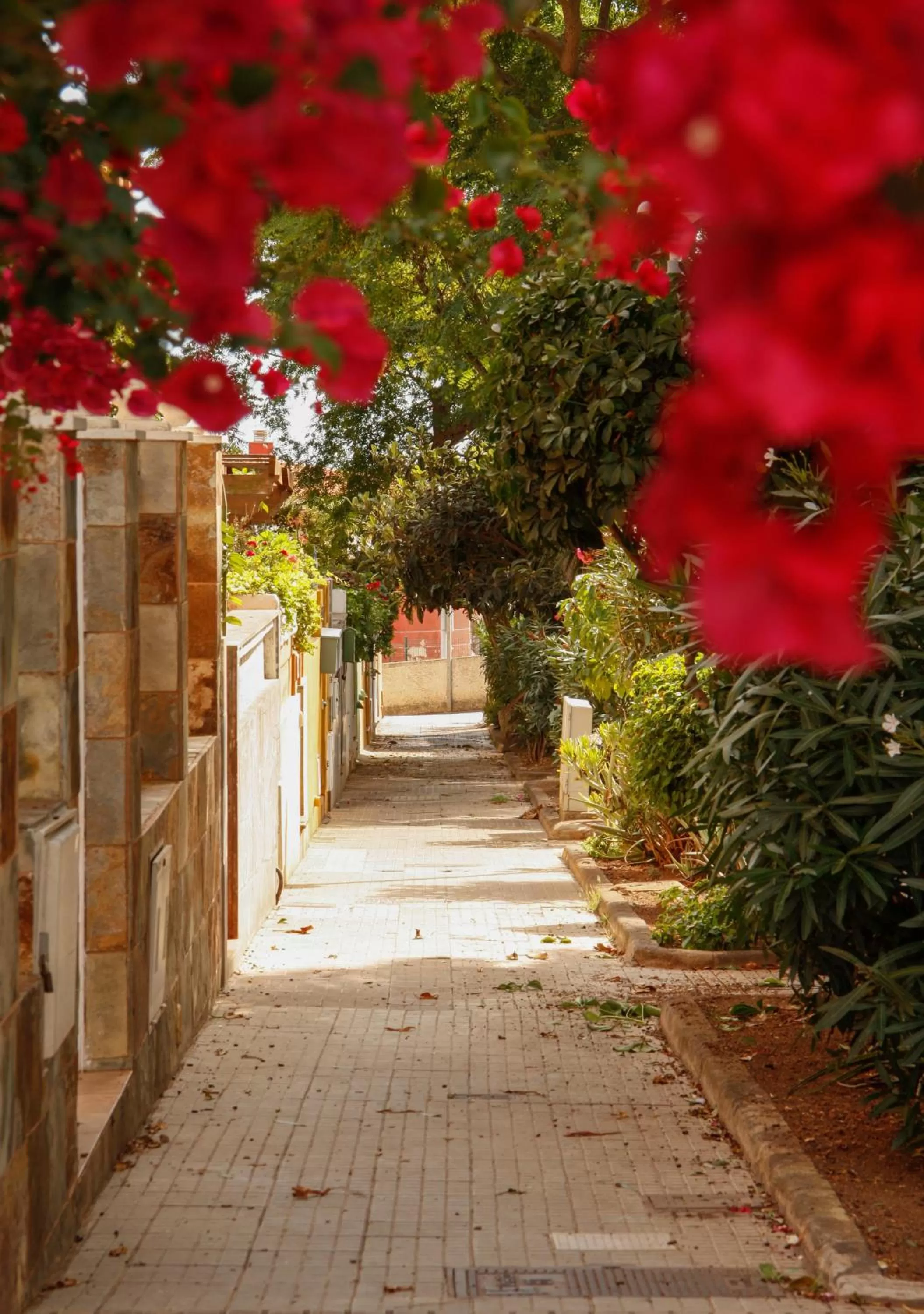 Neighbourhood in Il Sogno di Gio de la Laguna