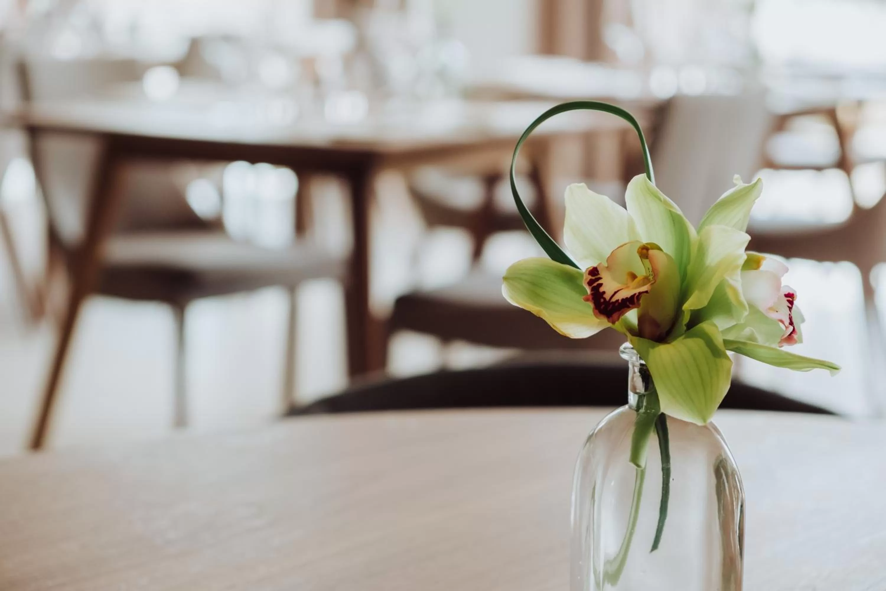 Restaurant/places to eat in Es Princep - The Leading Hotels of the World