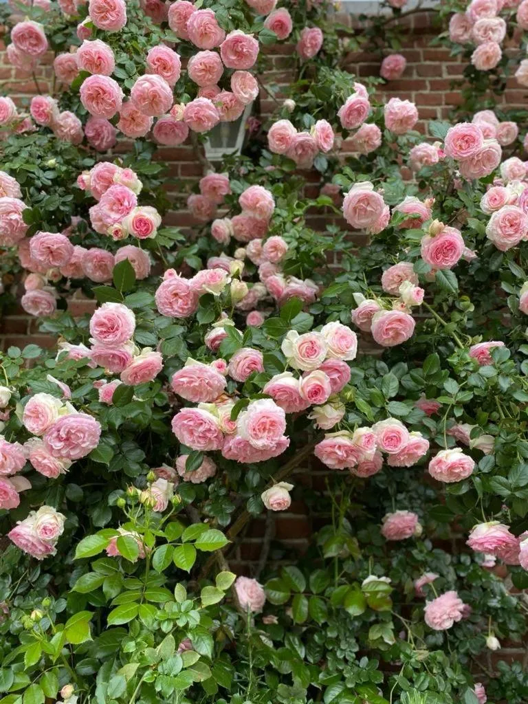 Decorative detail in Locanda La Posta