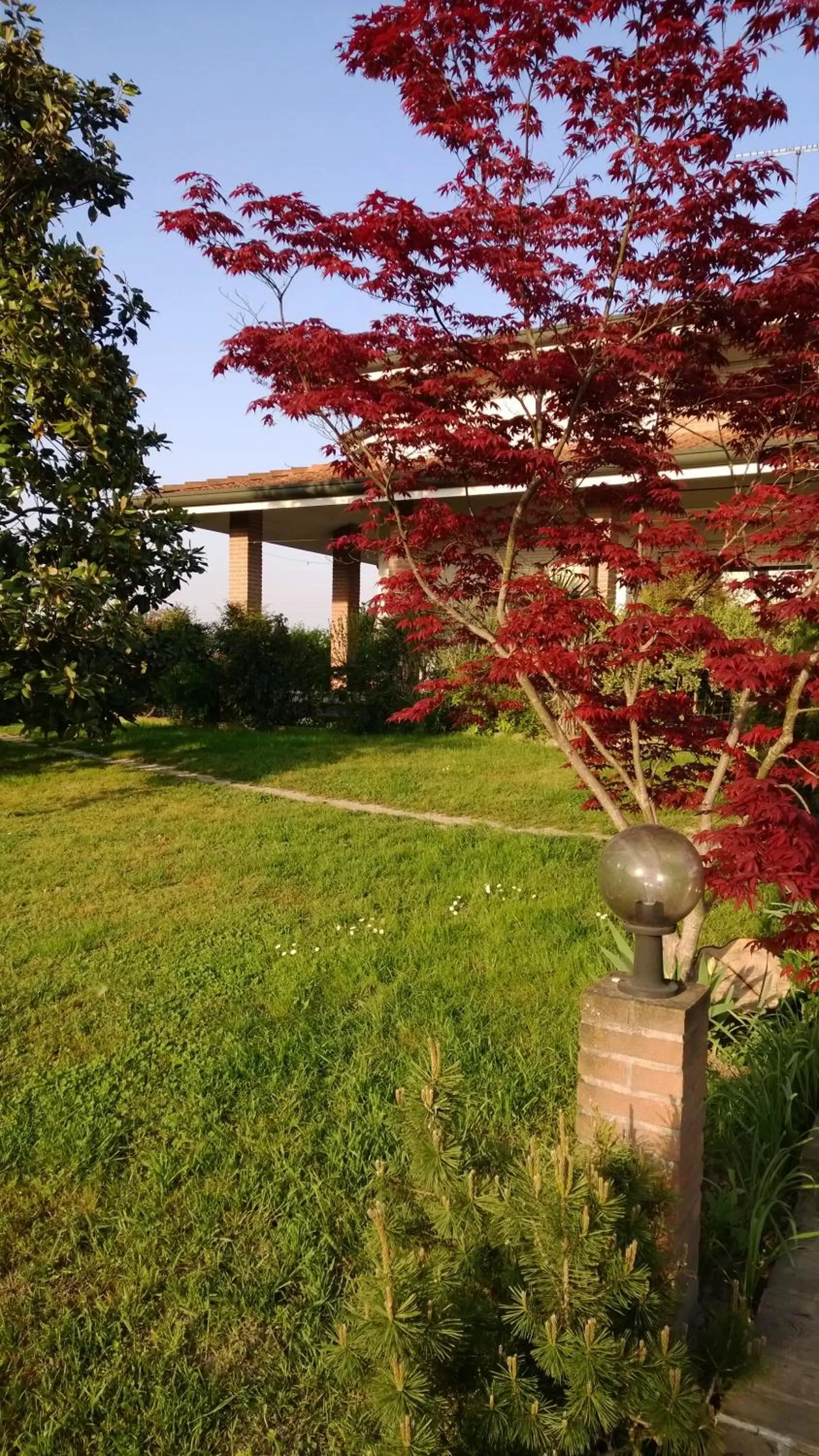 Patio in B&B Amy&Julie
