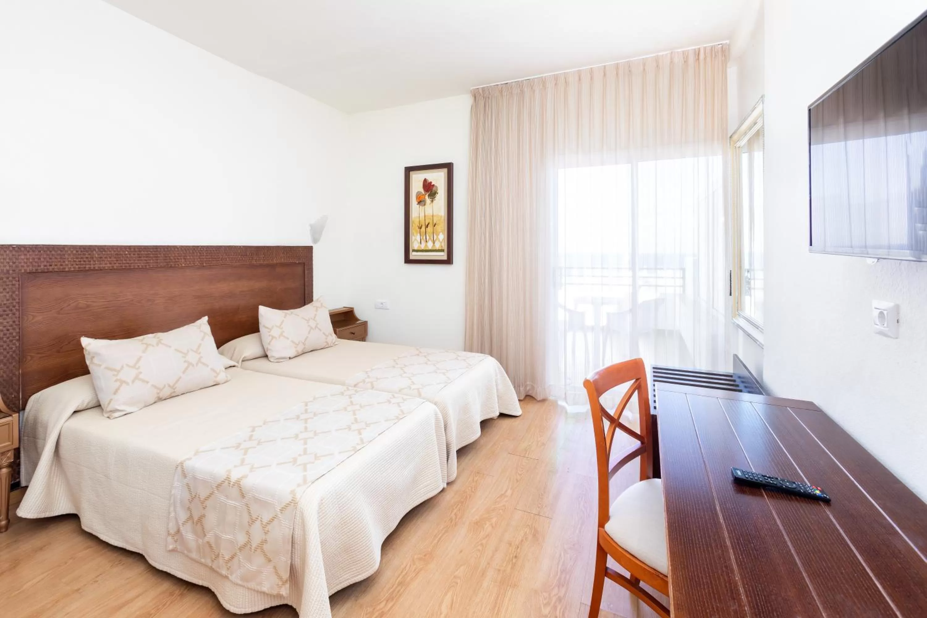 TV and multimedia in HC Hotel Magec