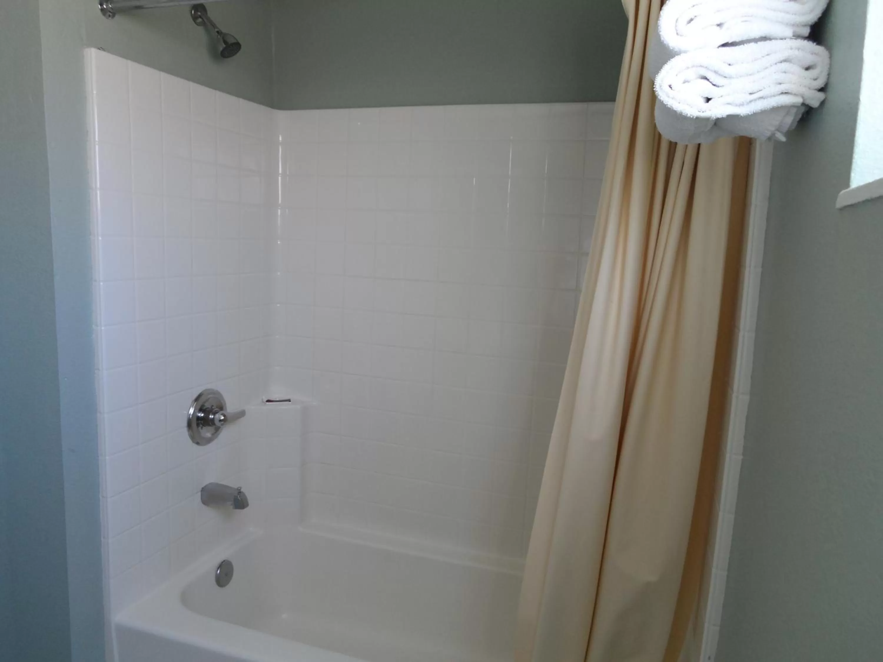 Bathroom in Economy Inn