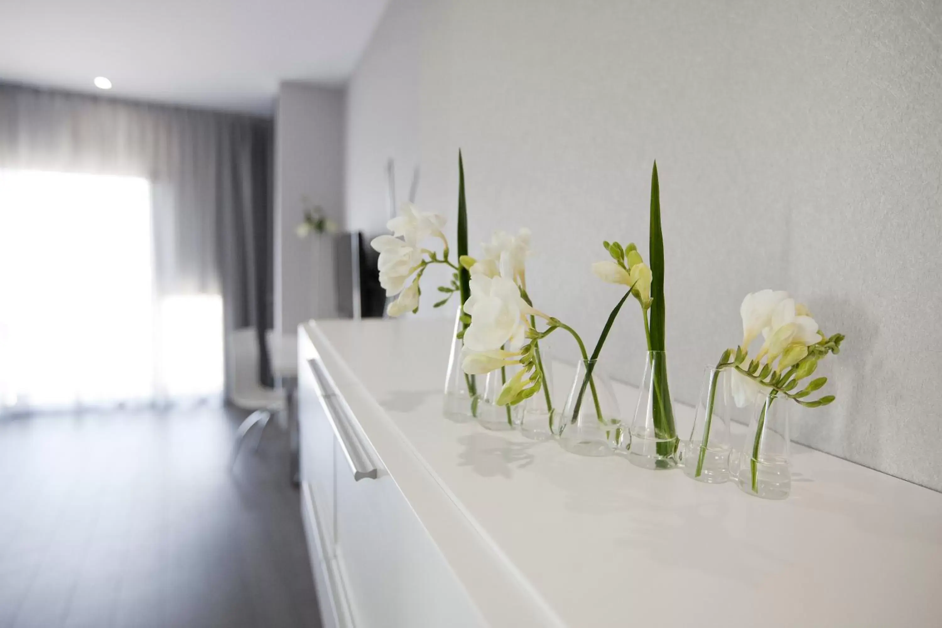 Junior Suite in Hotel MasMonzon Junior Suite in Hotel MasMonzon