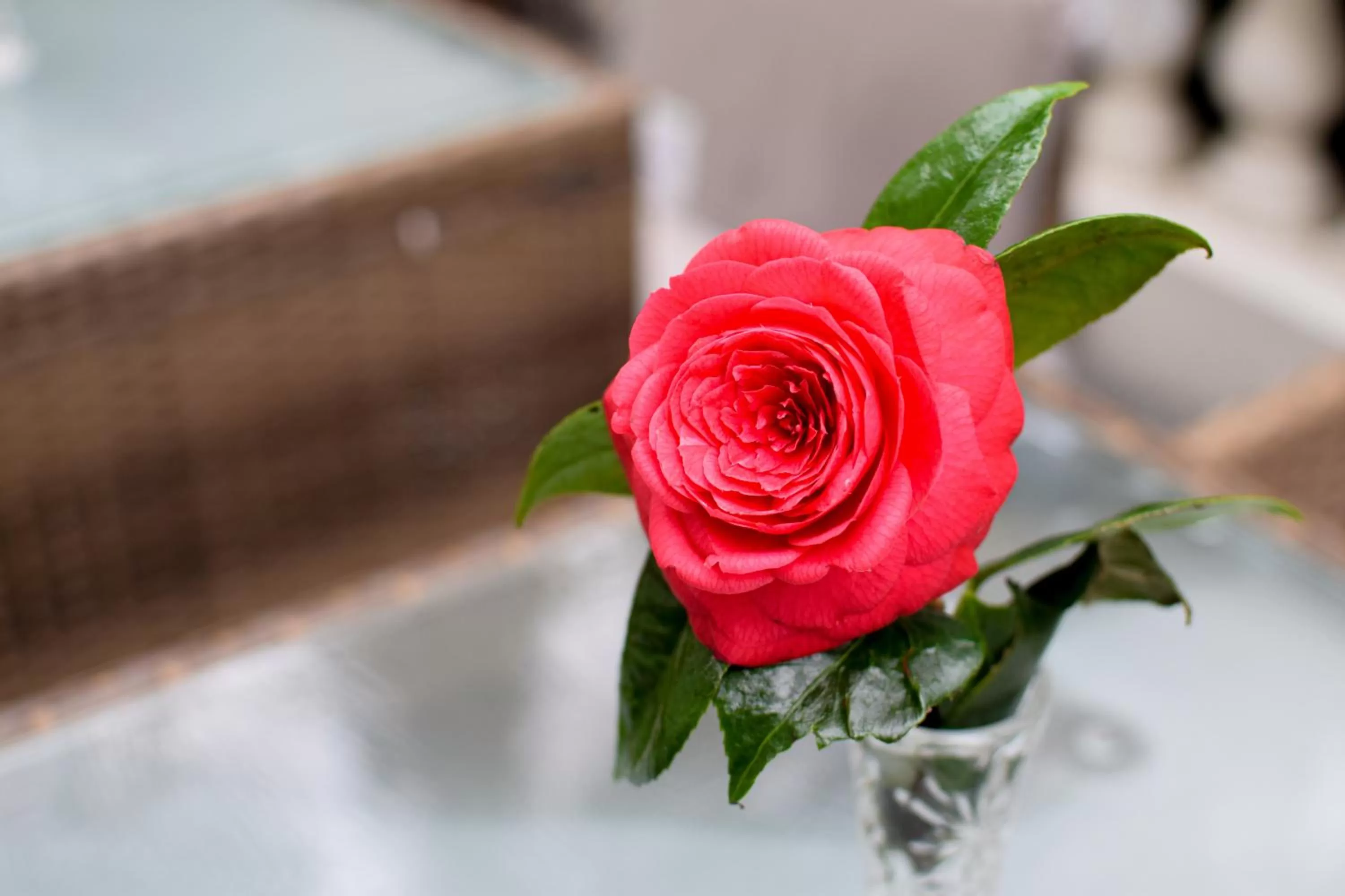 Property building in Pembridge Palace Hotel