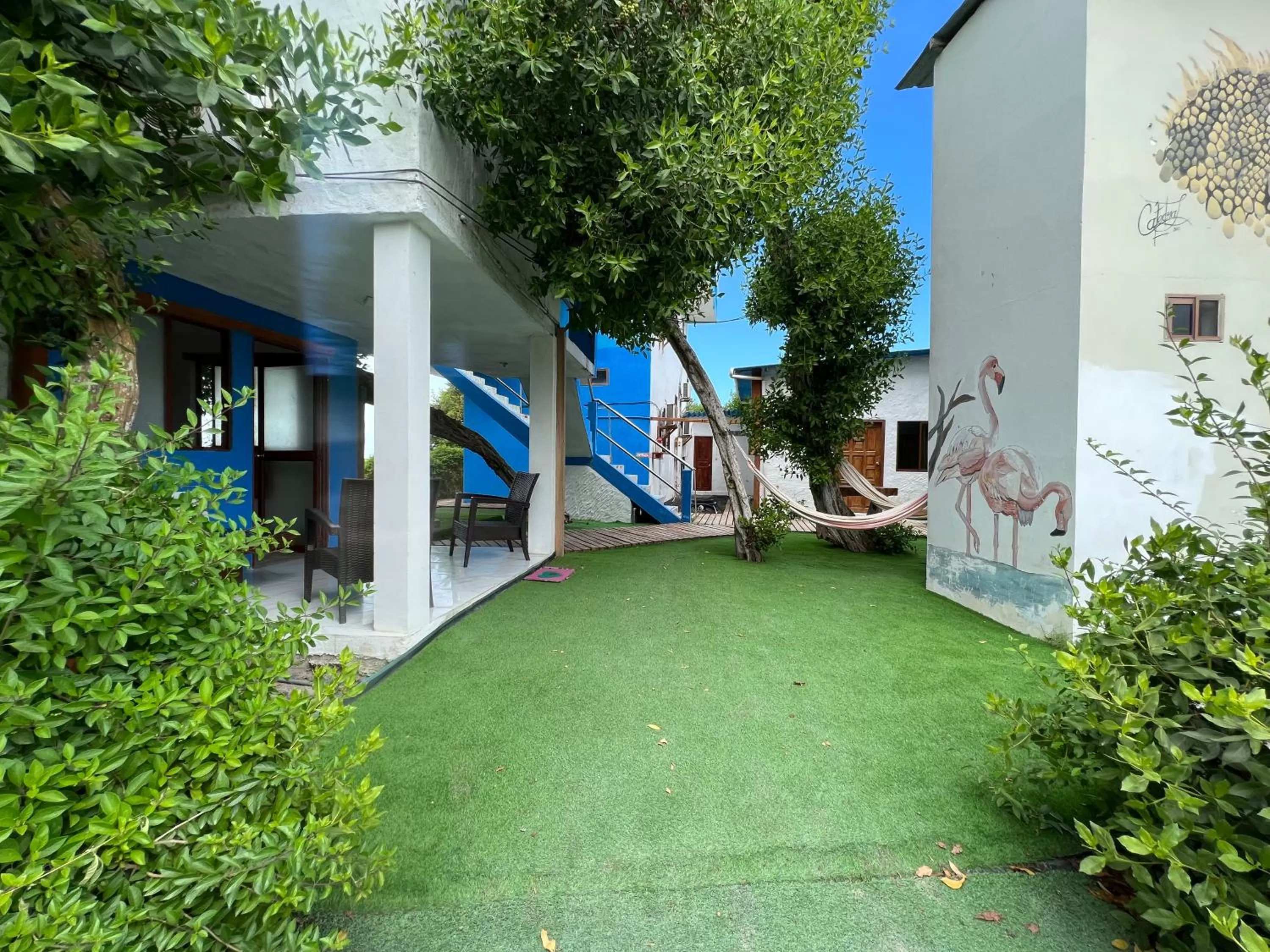 Patio, Property Building in Hotel La Jungla