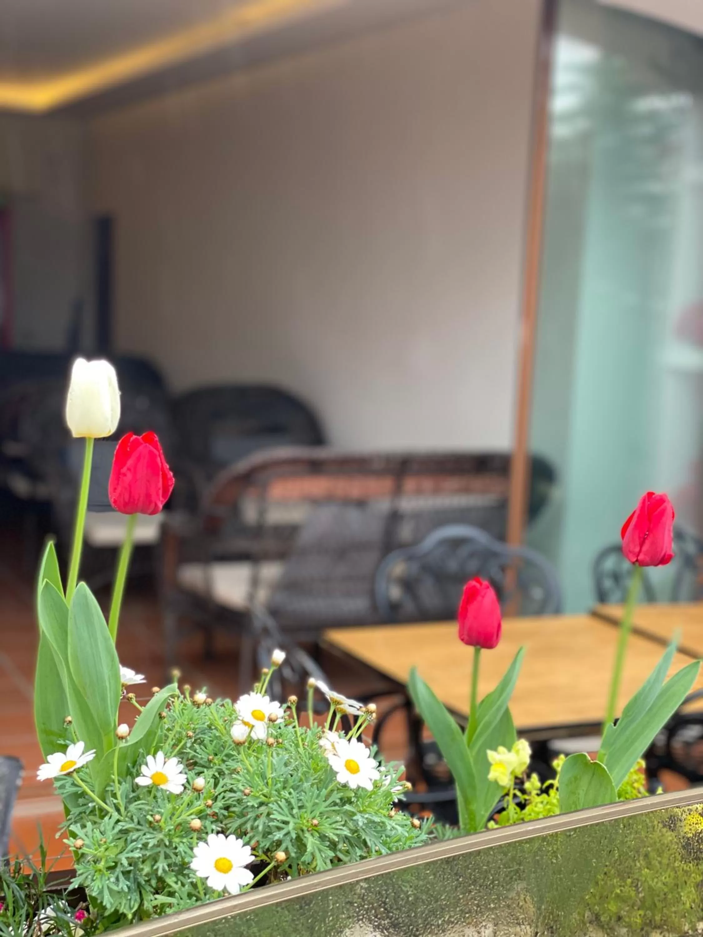 Property building in Blue Sea Hotel