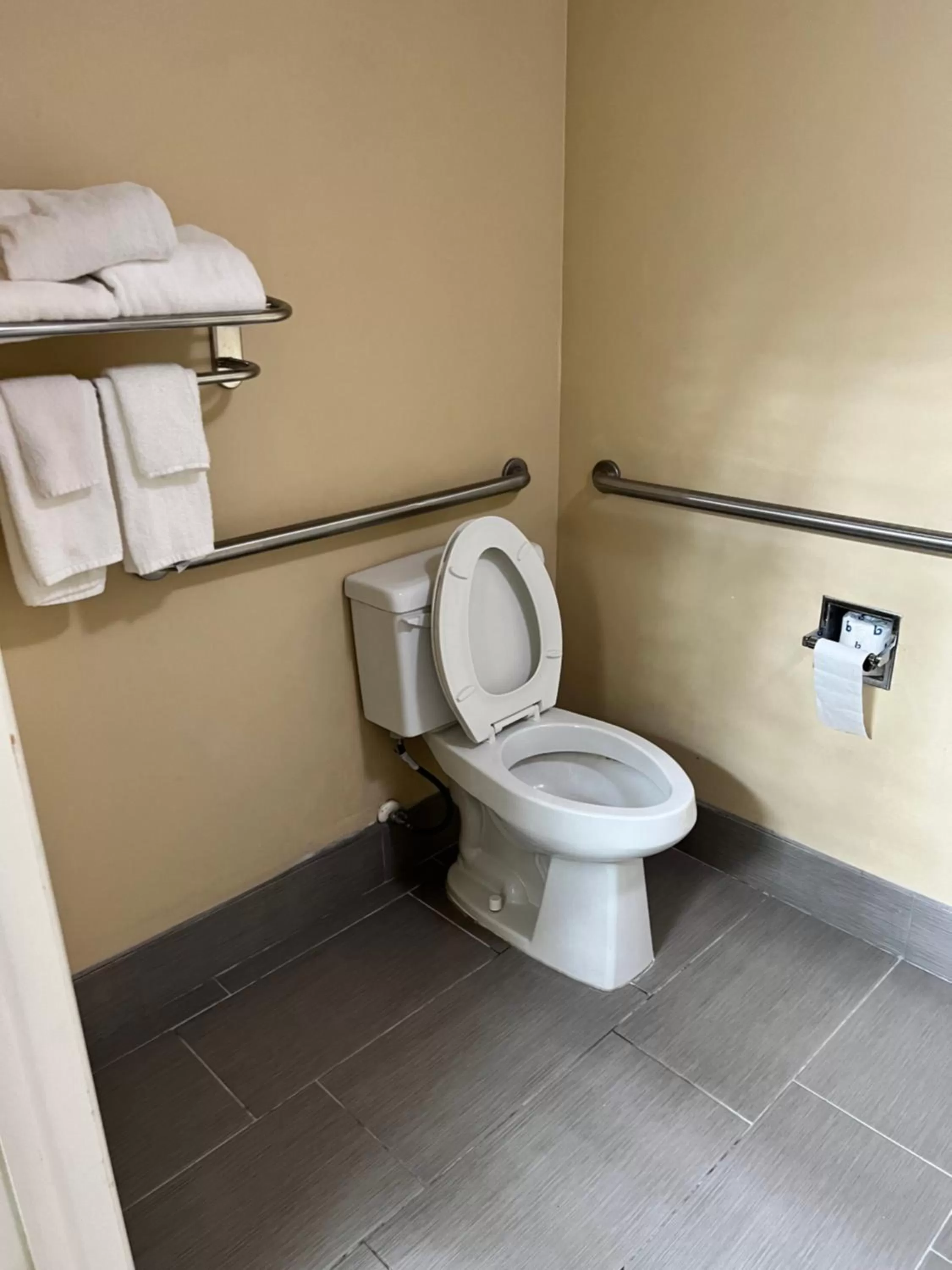 King Room - Accessible/Smoking in Quality Inn Lake City
