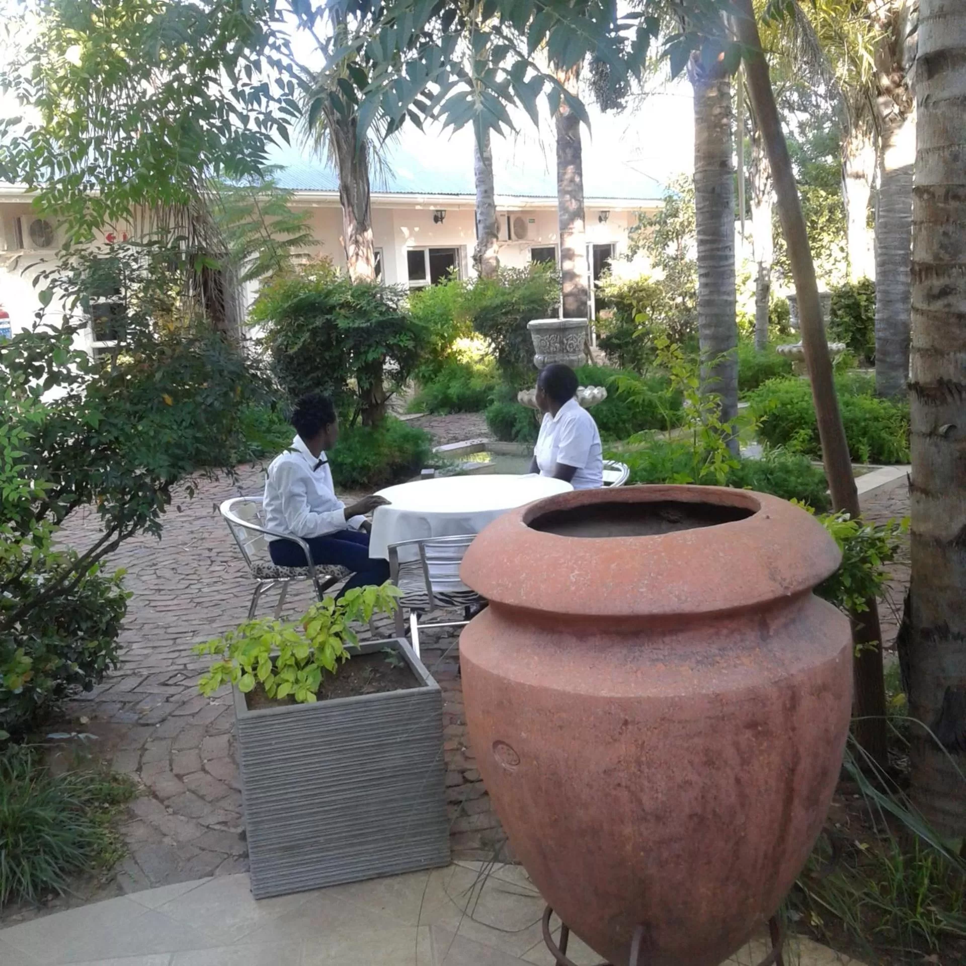 Garden in Out of Africa Town Lodge