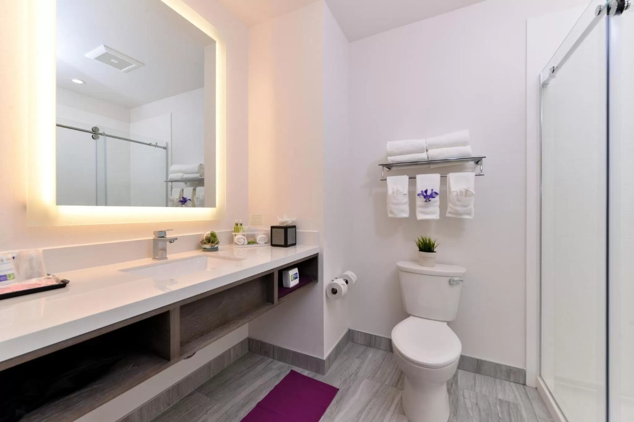 Bathroom in Holiday Inn Express & Suites San Diego - Mission Valley by IHG