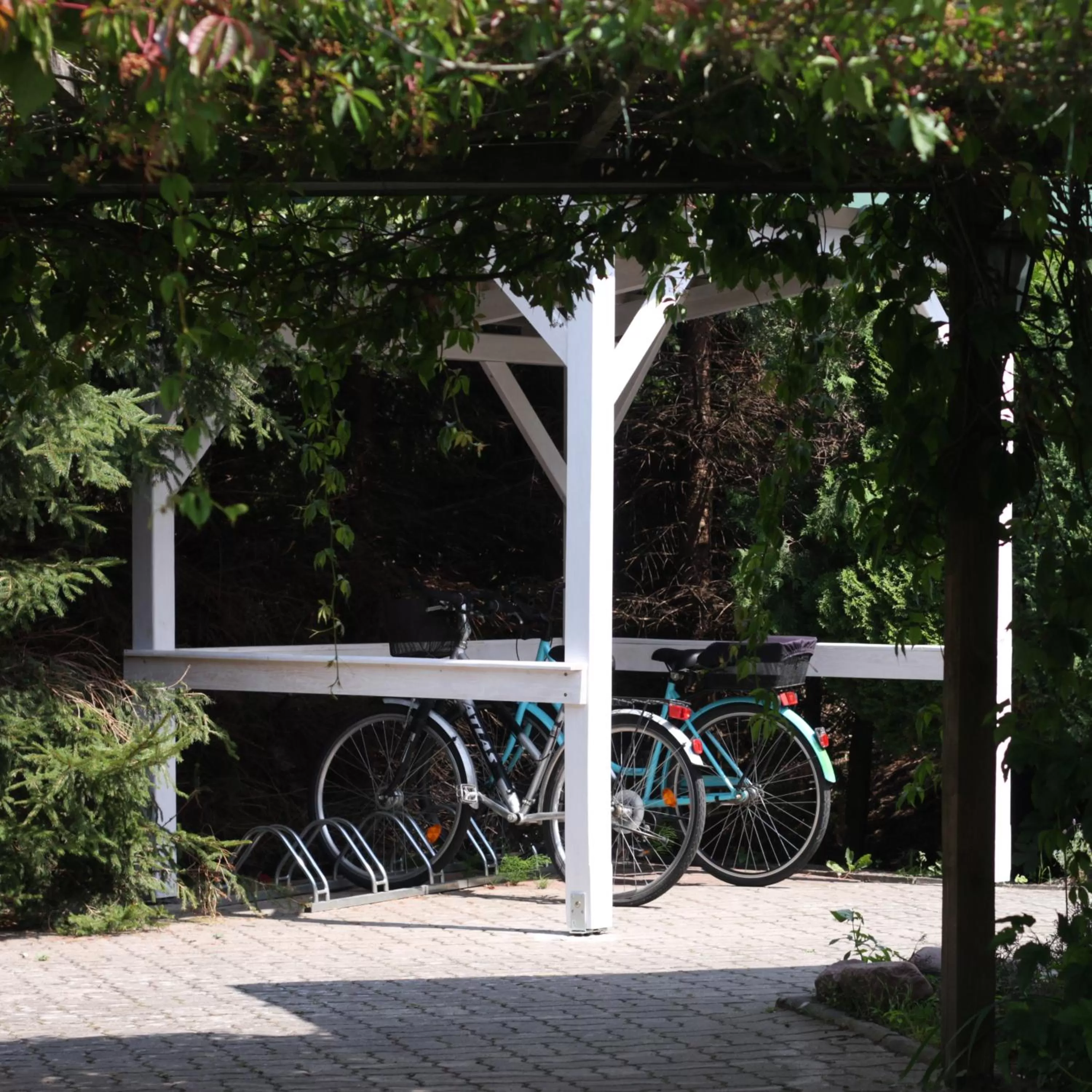 Cycling in Gościniec pod Kłosem