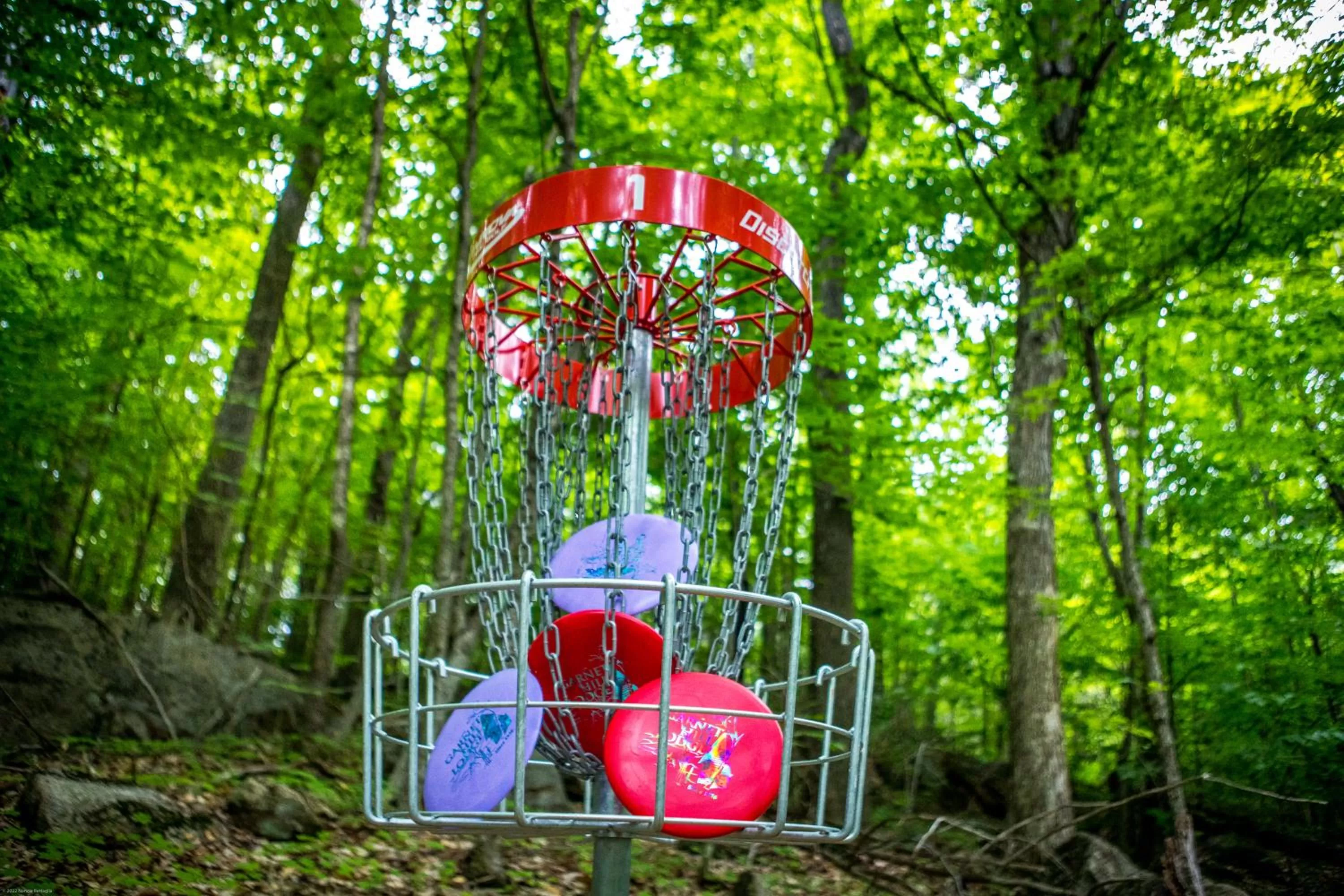 Activities in Garnet Hill Lodge