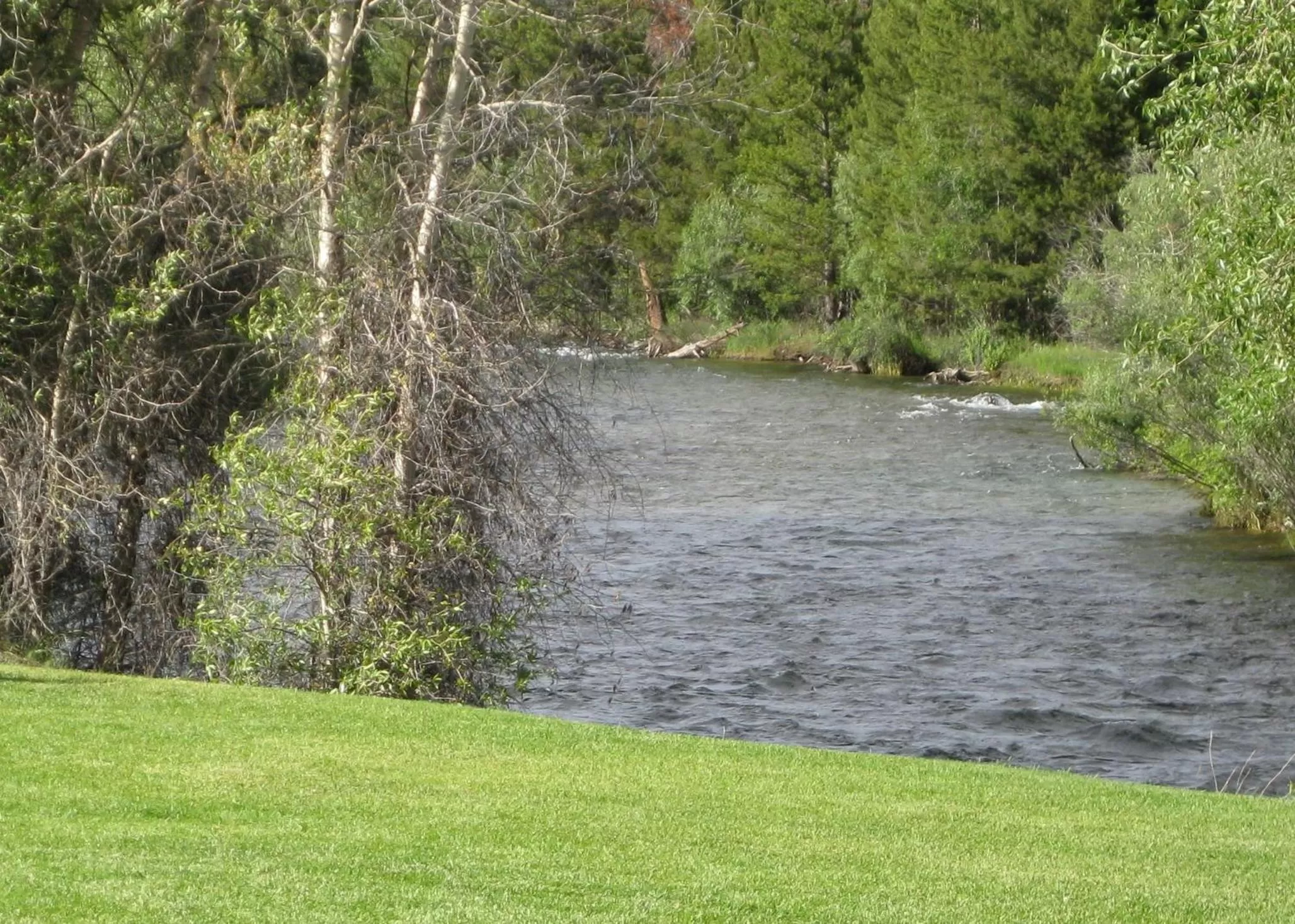 Nearby landmark in Pinedale Cozy Cabins