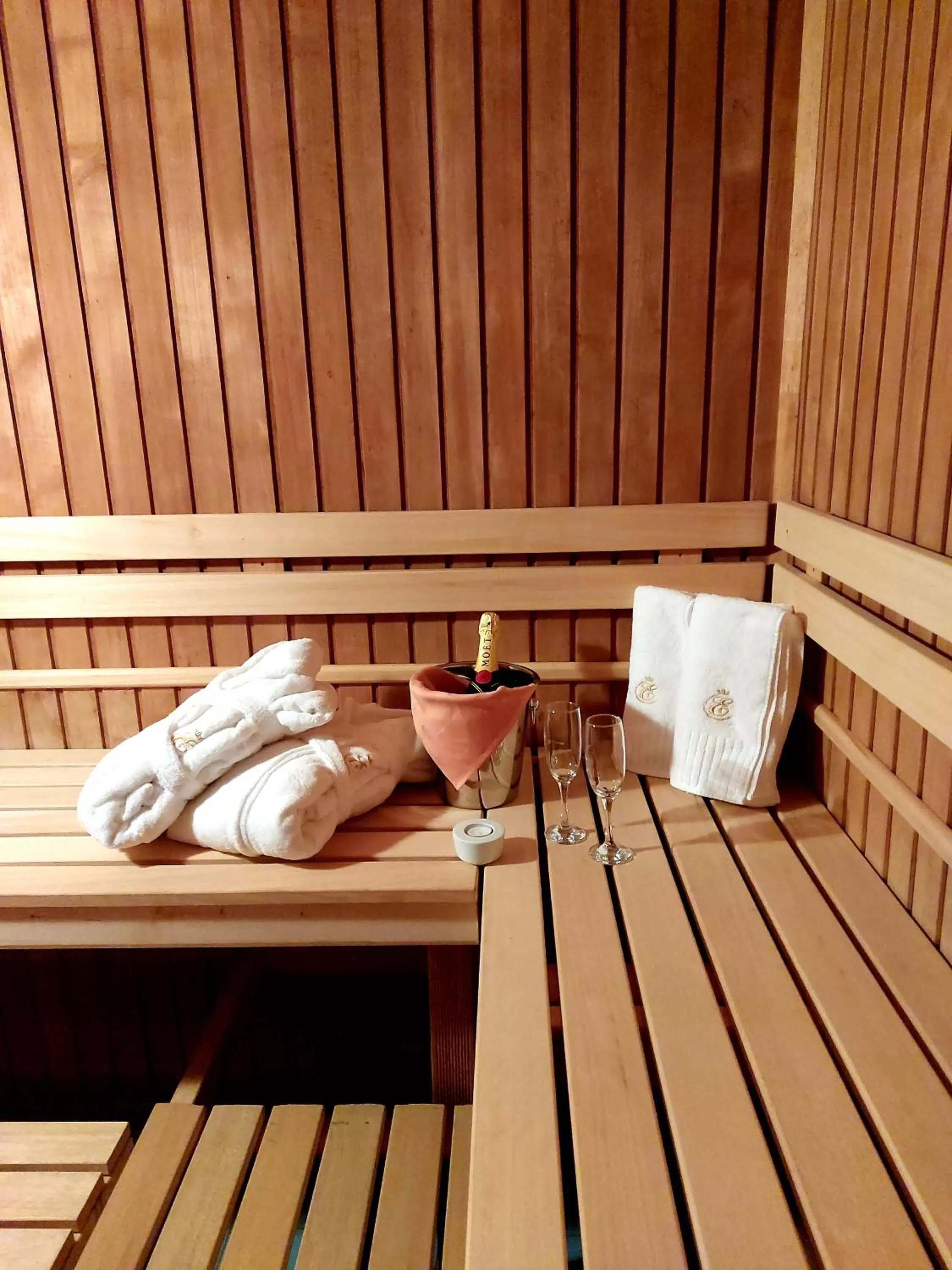 Sauna in Hotel U Královny Elišky