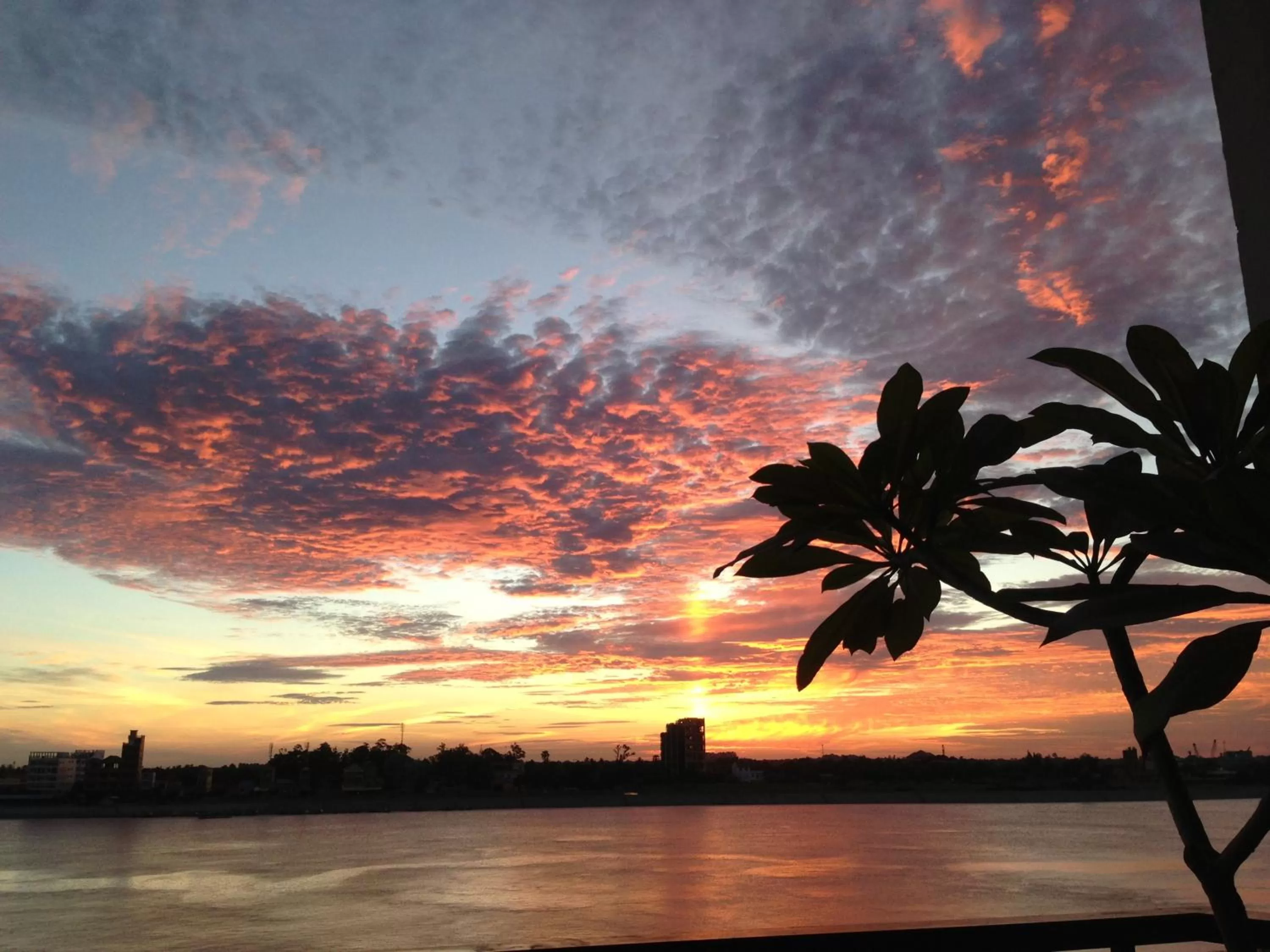 View (from property/room) in New Season Riverside Hotel