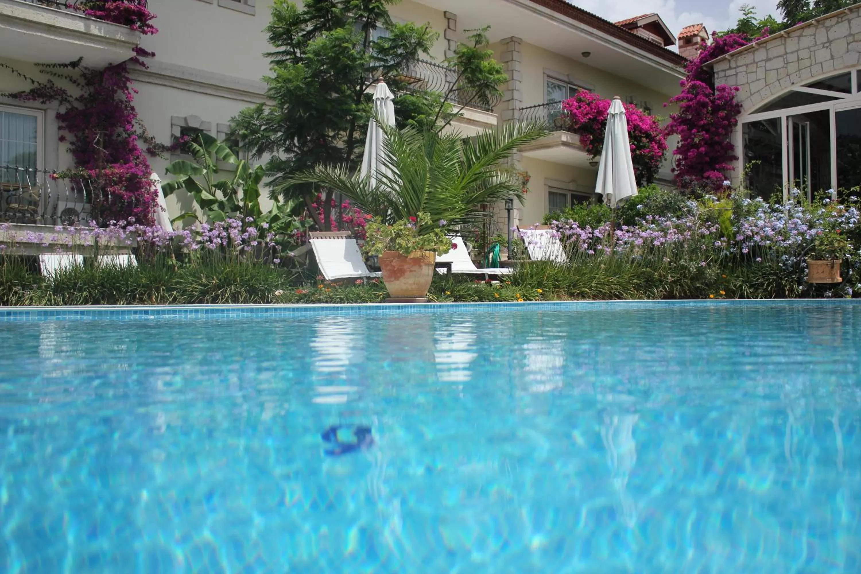 Swimming Pool in Dolina Hotel