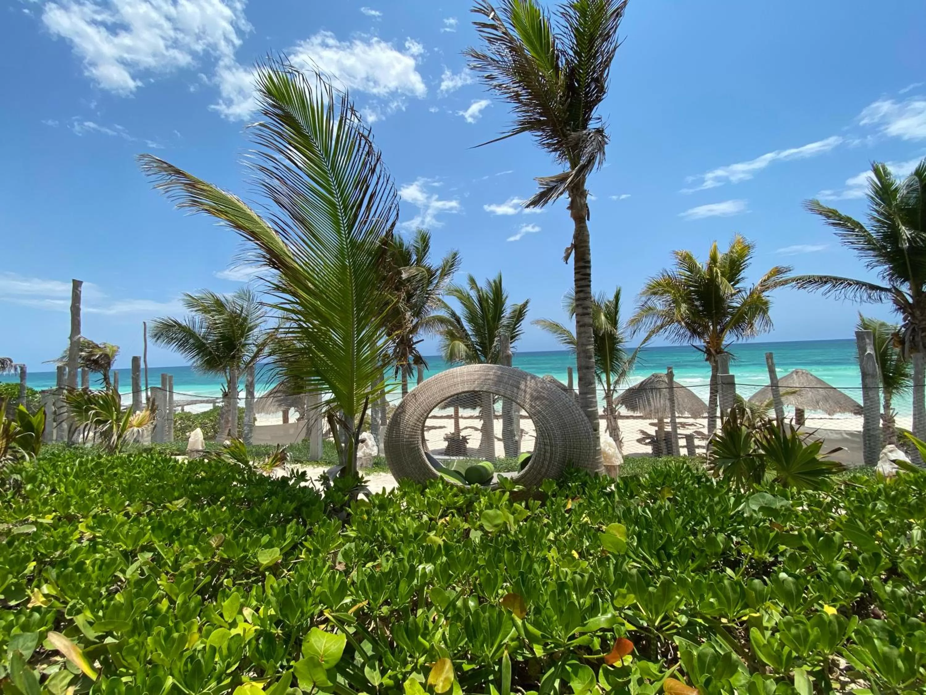 Sea view in Sueños Tulum
