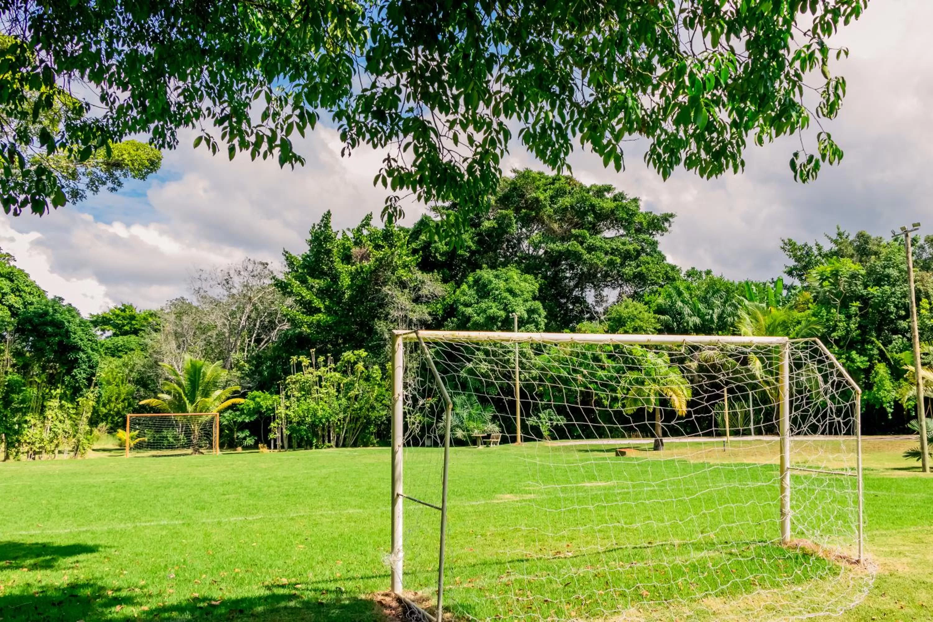 Activities in Bosque do Porto Praia Hotel