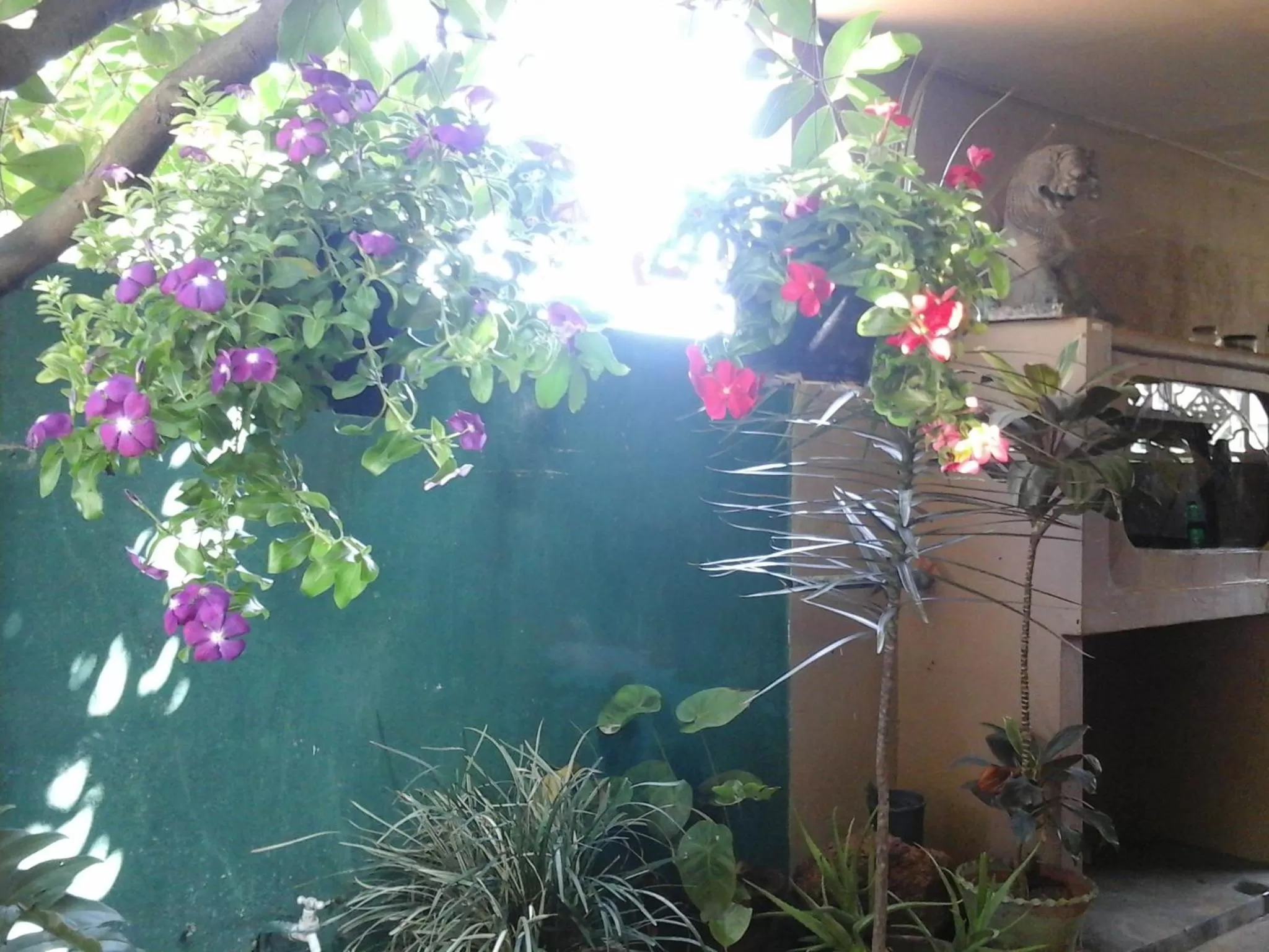 Day in House Of Esanya