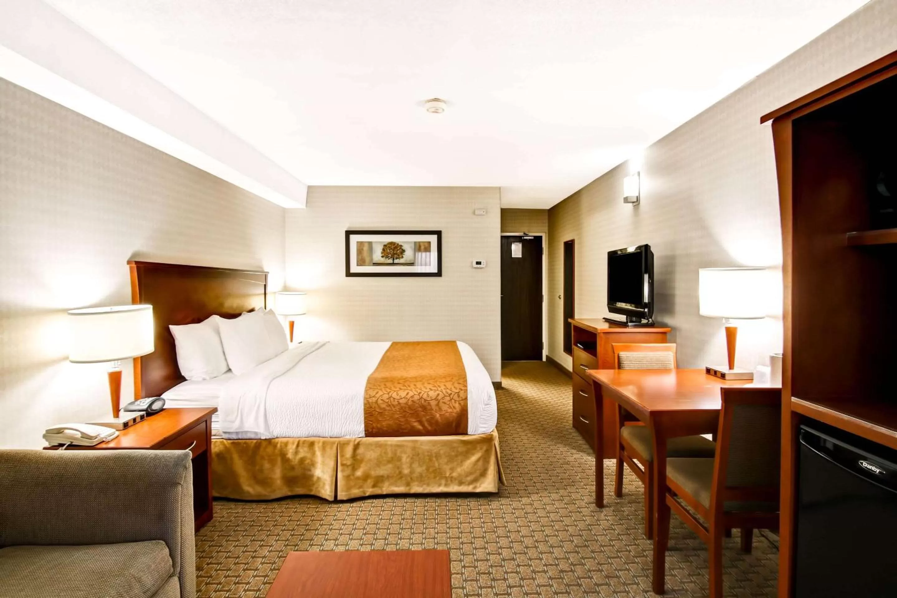 Photo of the whole room, Bed in Quality Inn