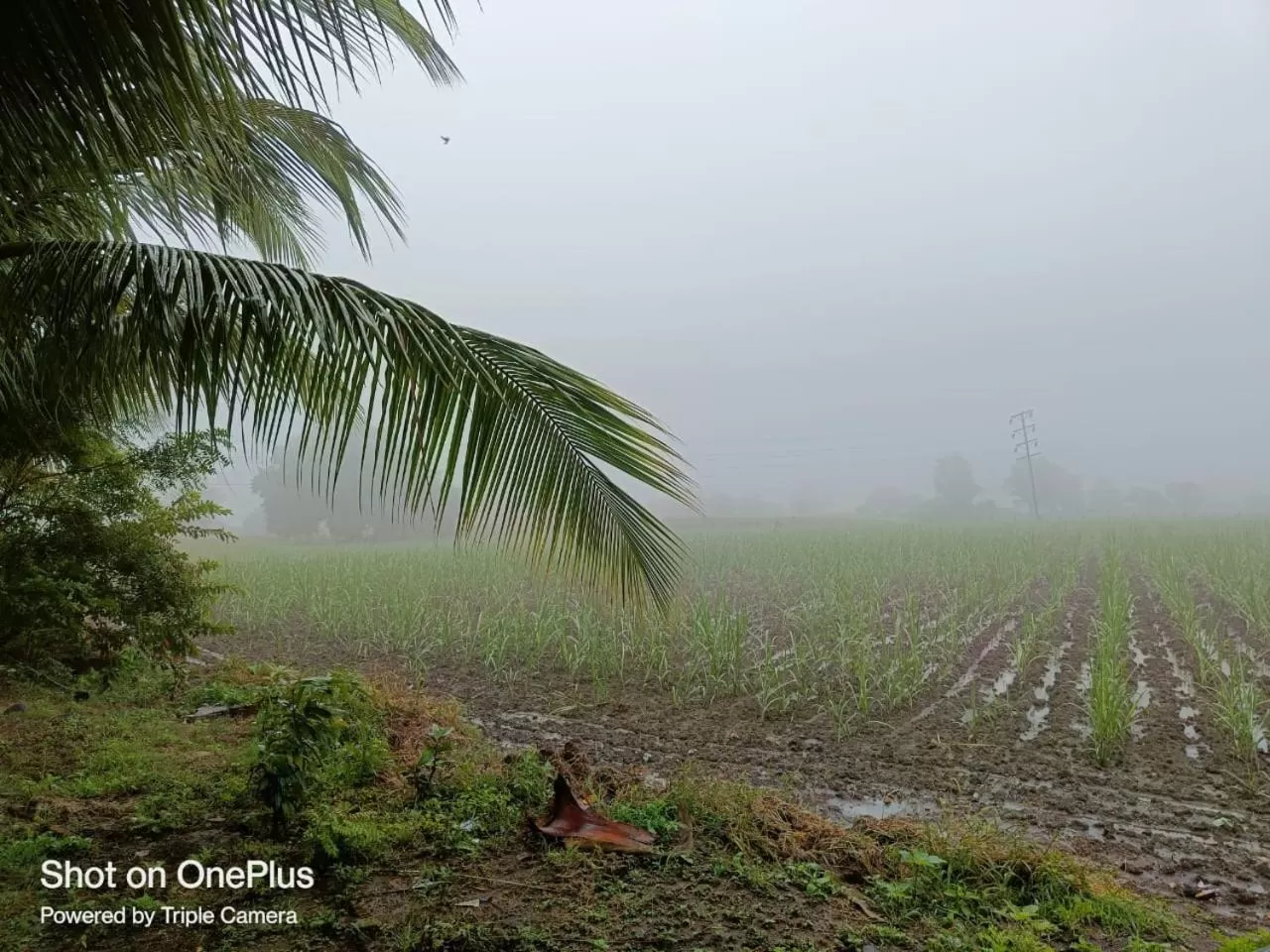 Hotel Nisarg Lodging And Restaurant