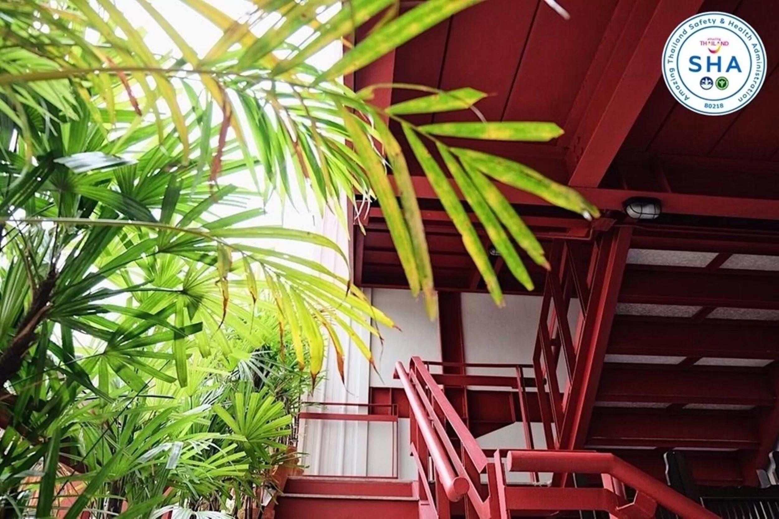 Area and facilities in Talakkia Boutique Hotel