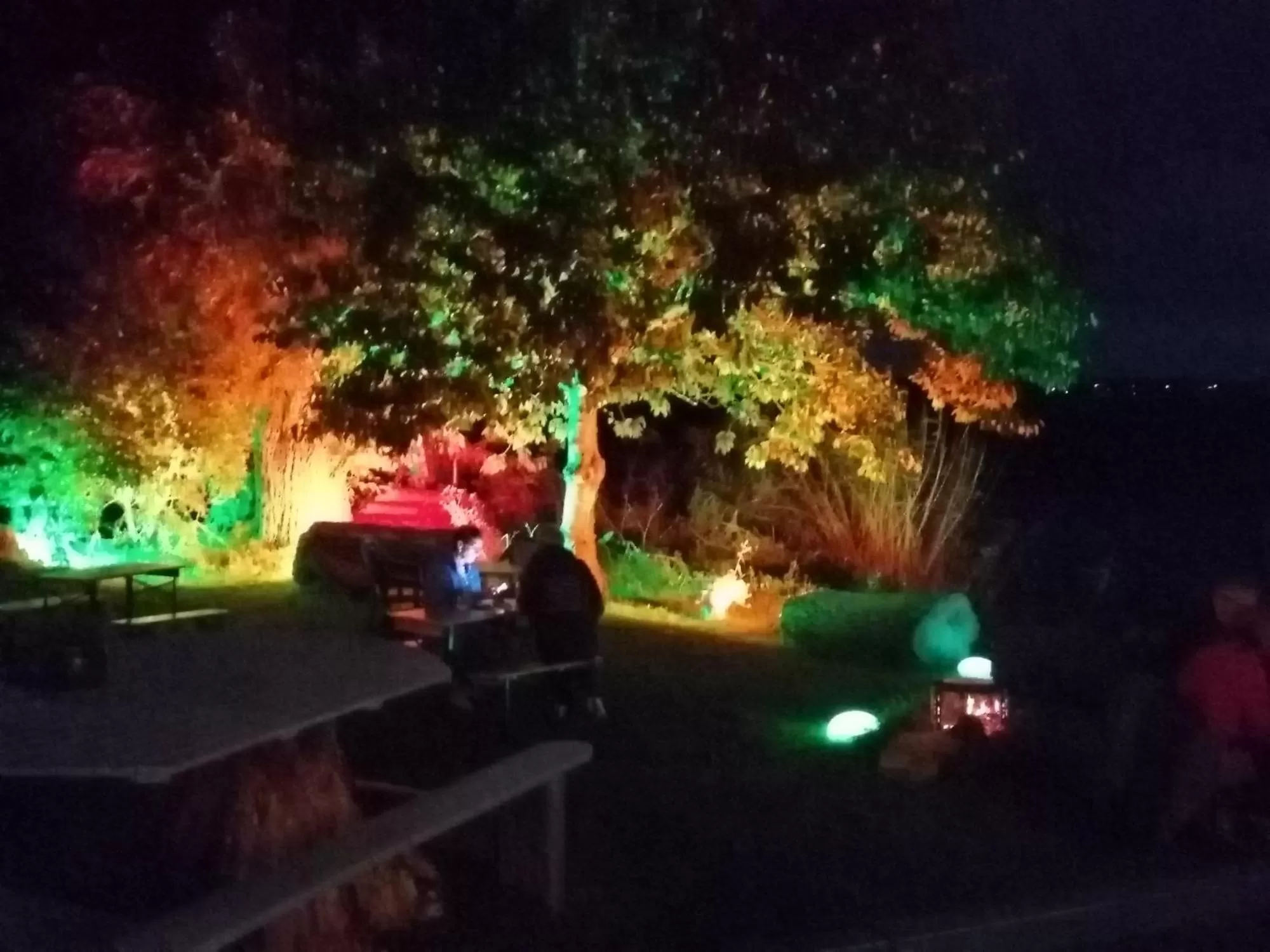 Garden in Seefahrer Musik- & Kreativhotel