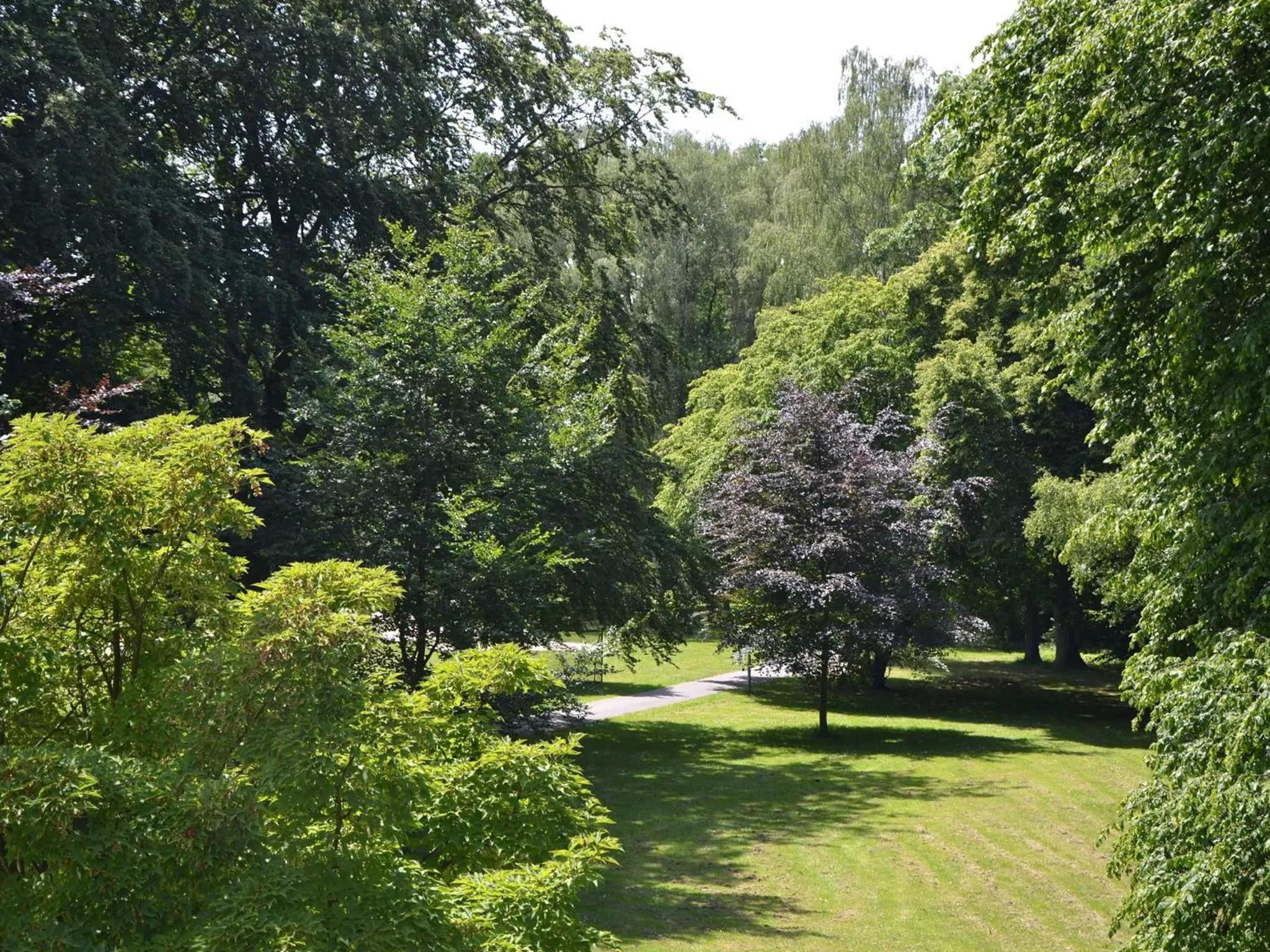 Natural landscape in Parkhotel Wolfsburg