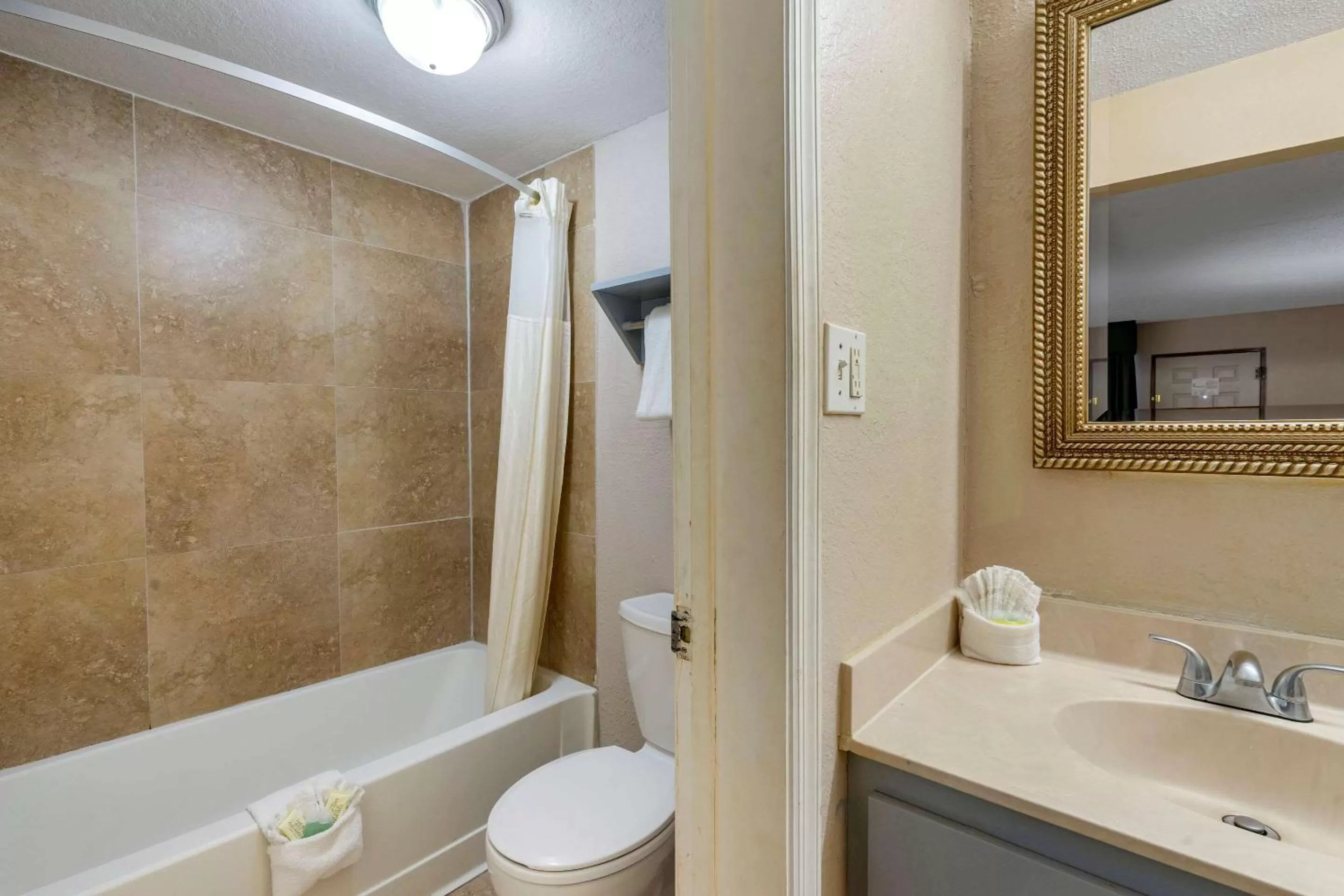 Bathroom in Rodeway Inn Clearwater-Dunedin