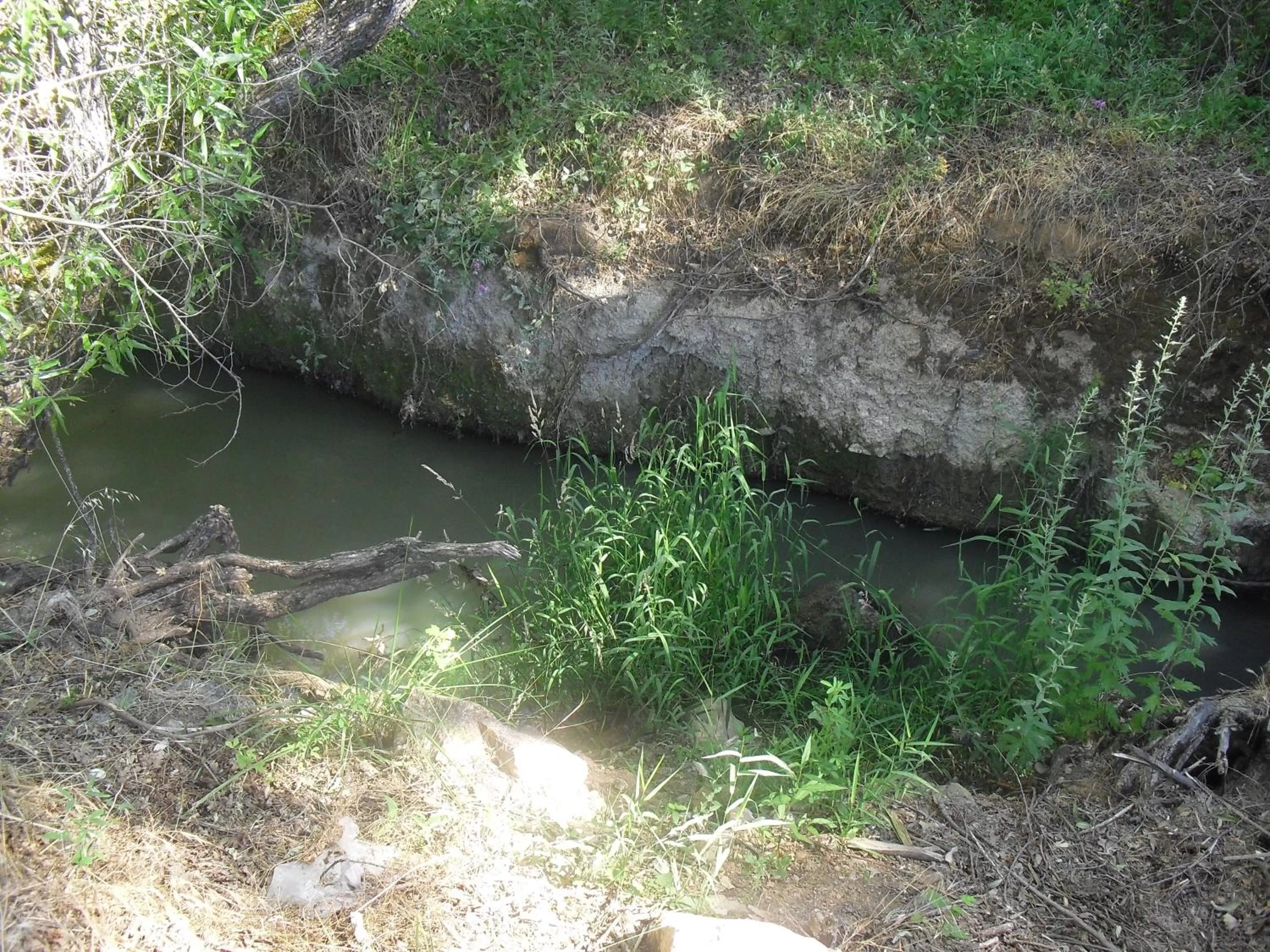 Other in Creekside Lodge