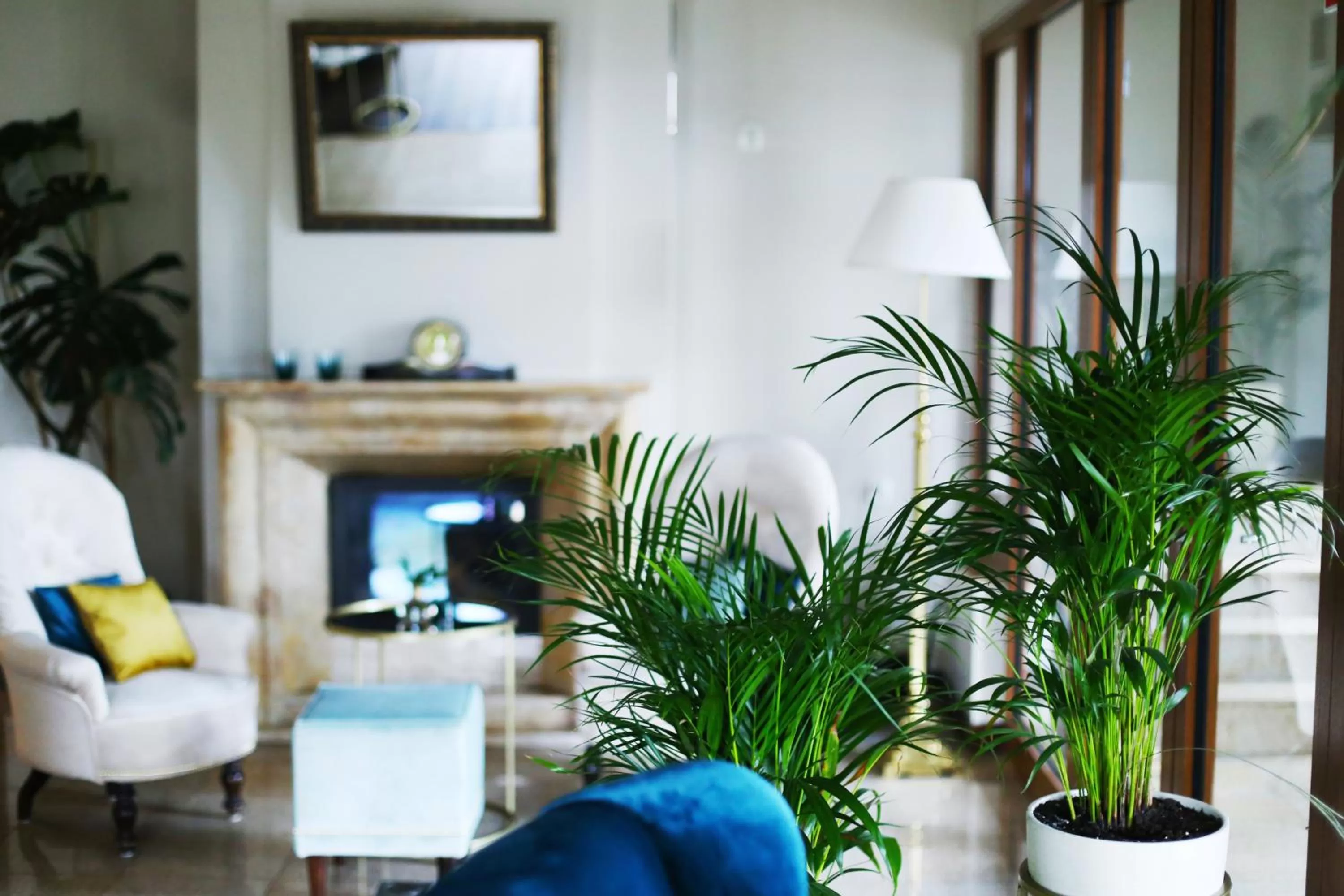 Restaurant/places to eat in Dworek