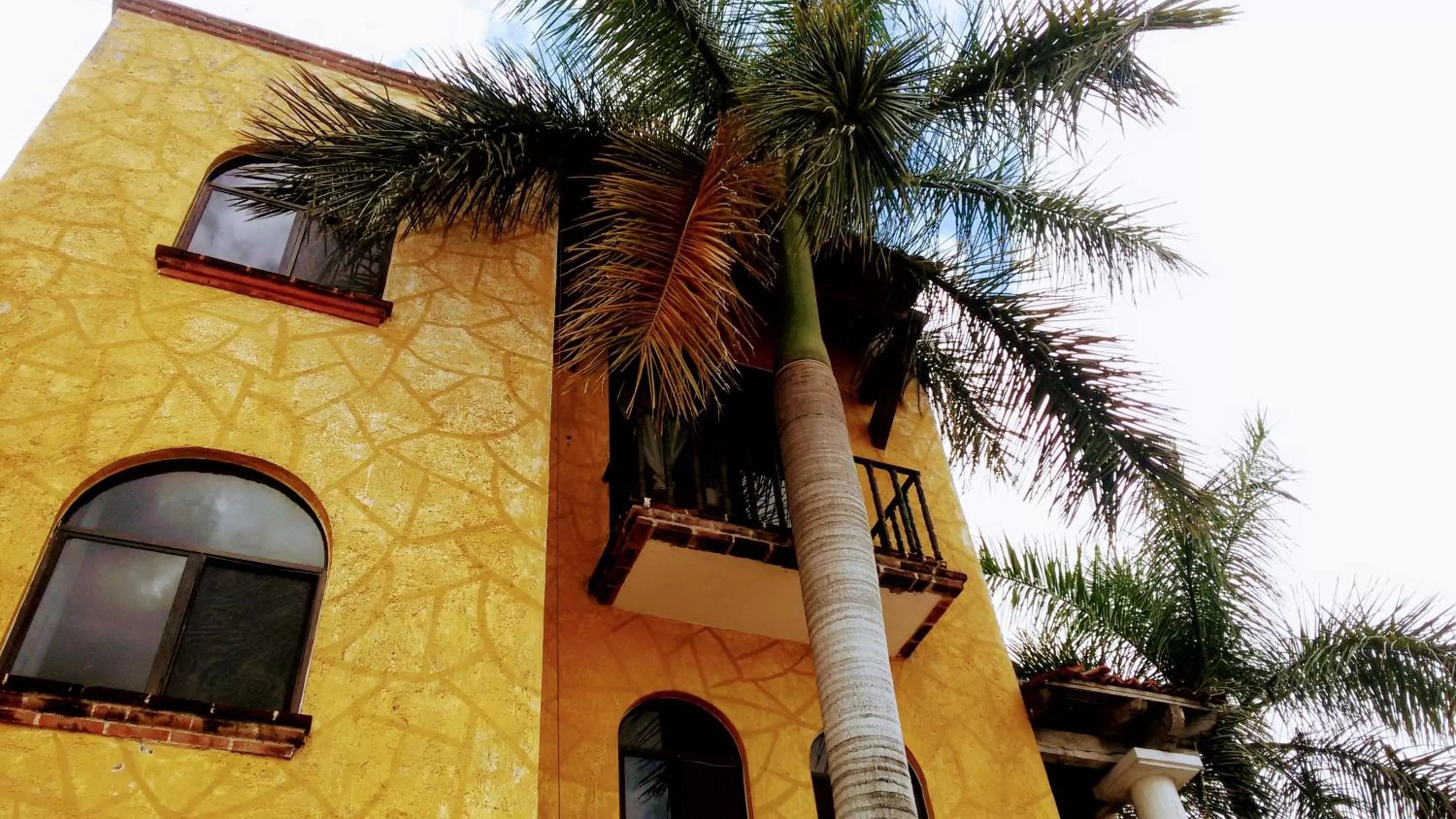 Staff, Pool View in Maya Vacanze Playa Alegria