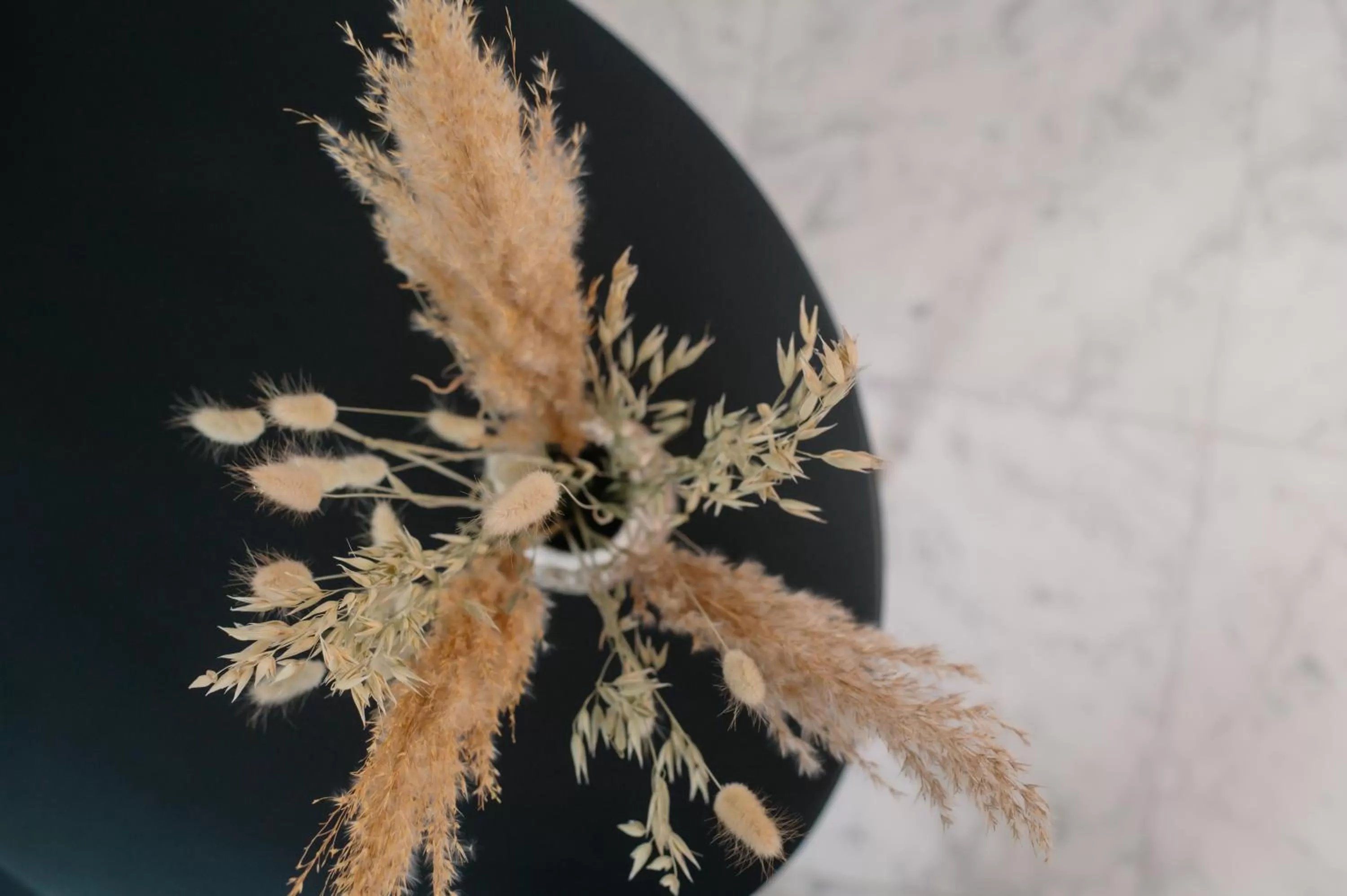 Other Animals in Nobel Hotel Ameland