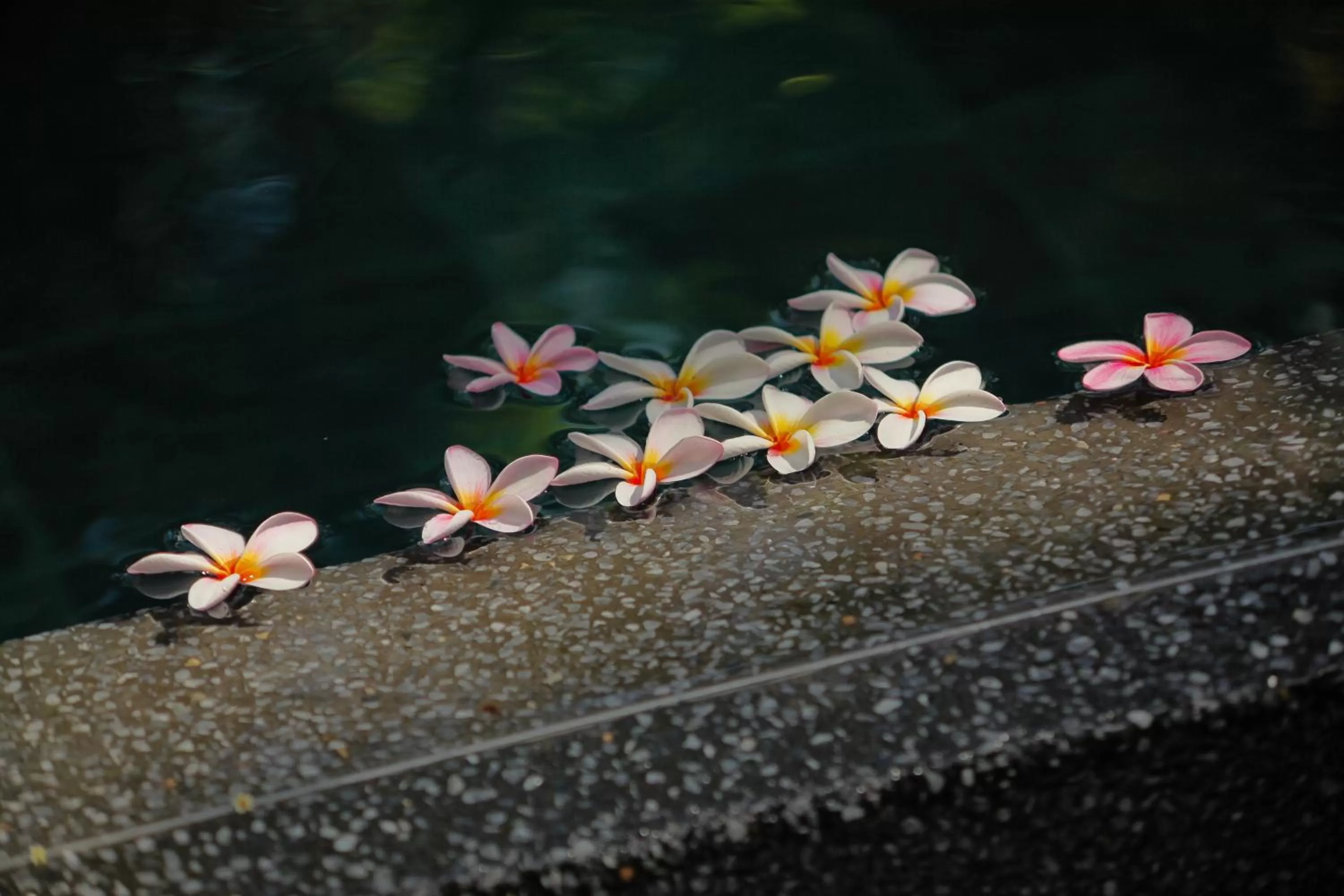 Other in Ocean Villas Hotel