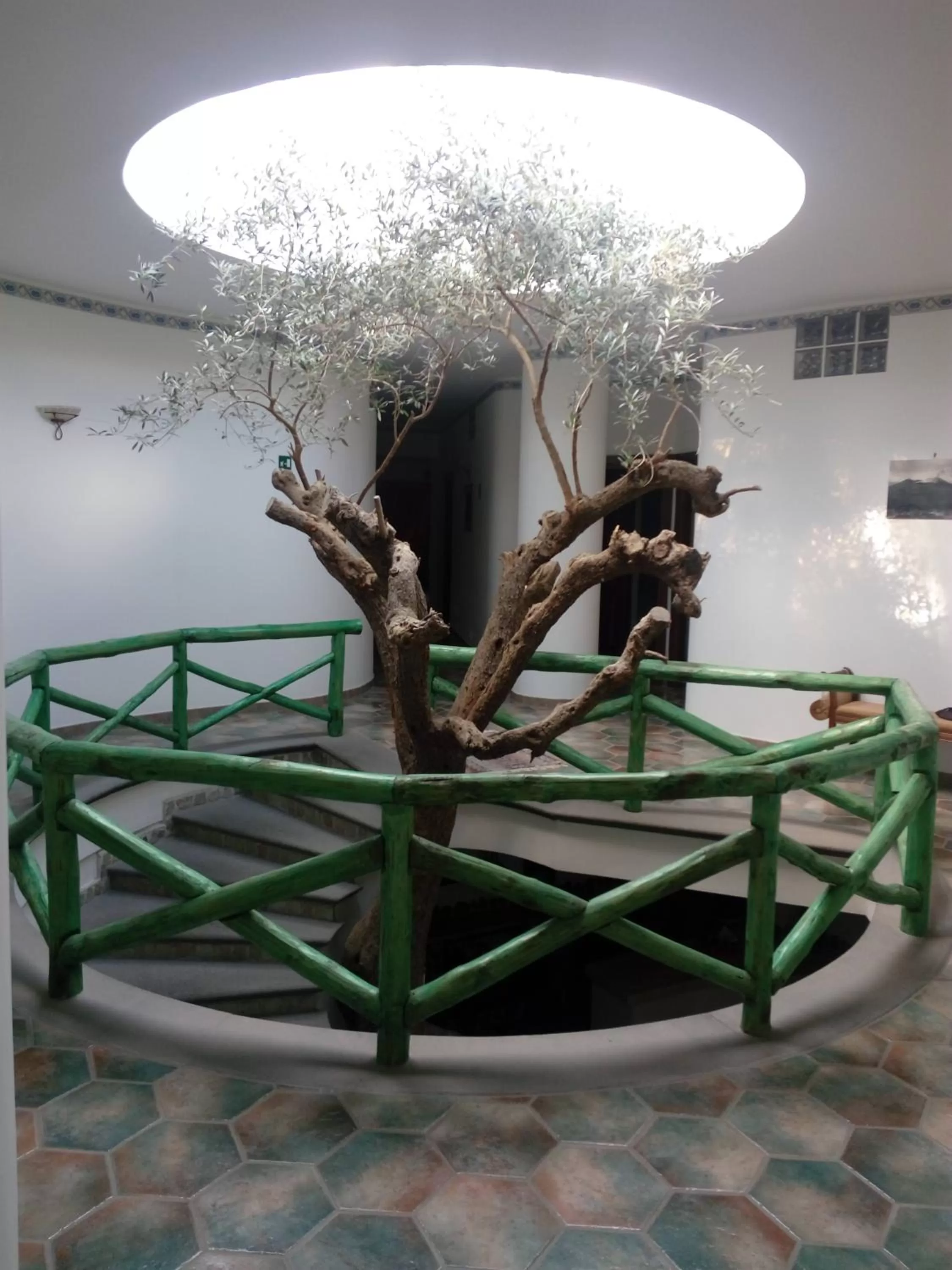 Patio/Outdoor Area in Hotel Sirio