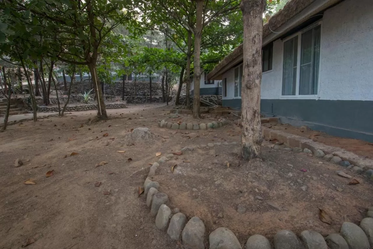 Other in Red Earth - Gokarna