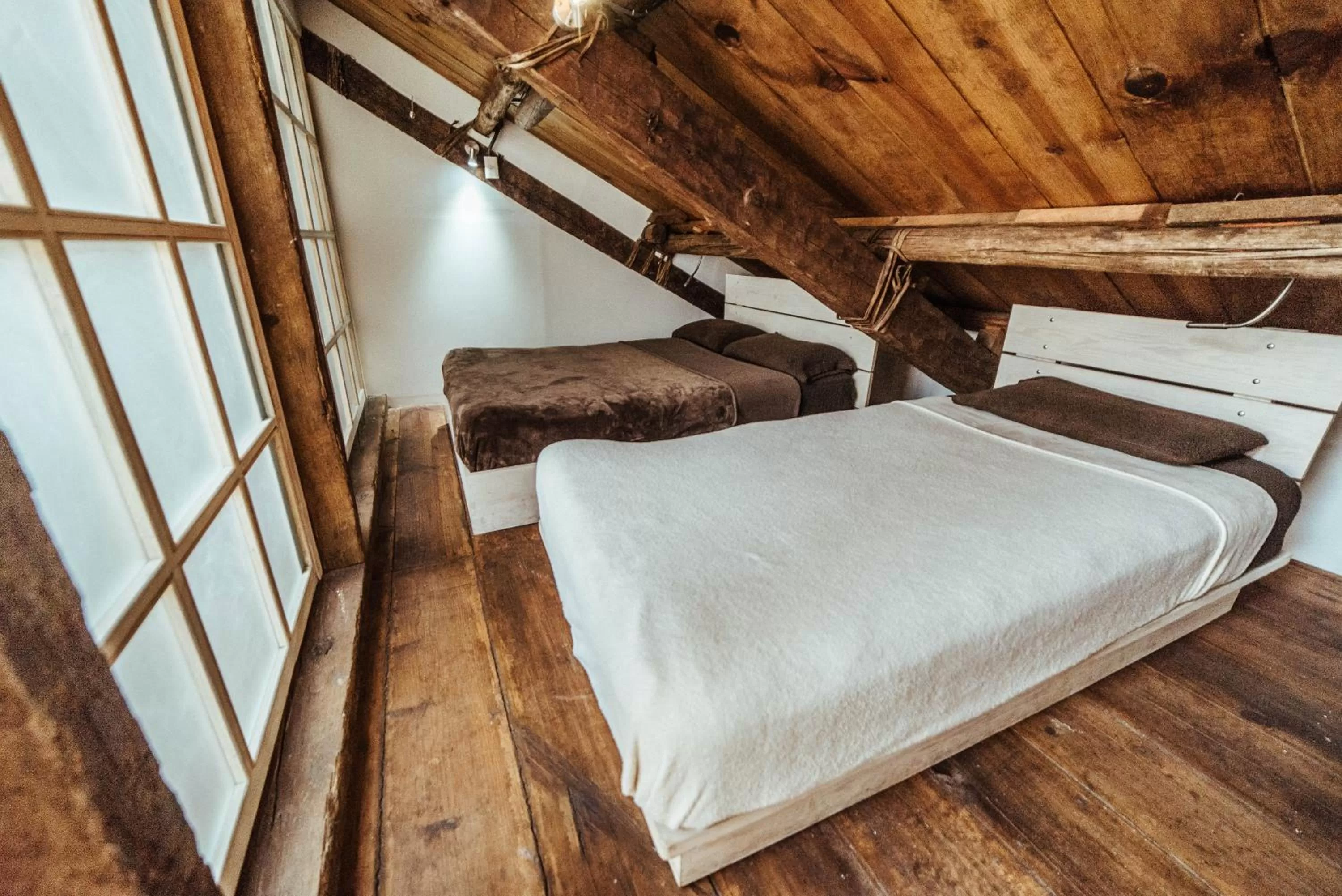 Snail Bed & Breakfast