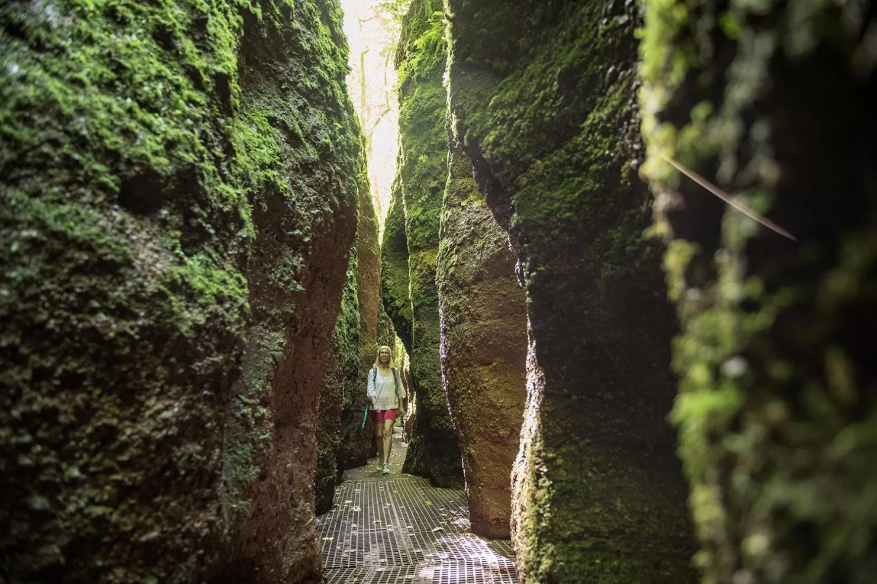 Nearby landmark in Suites MITTE - Aparthotel