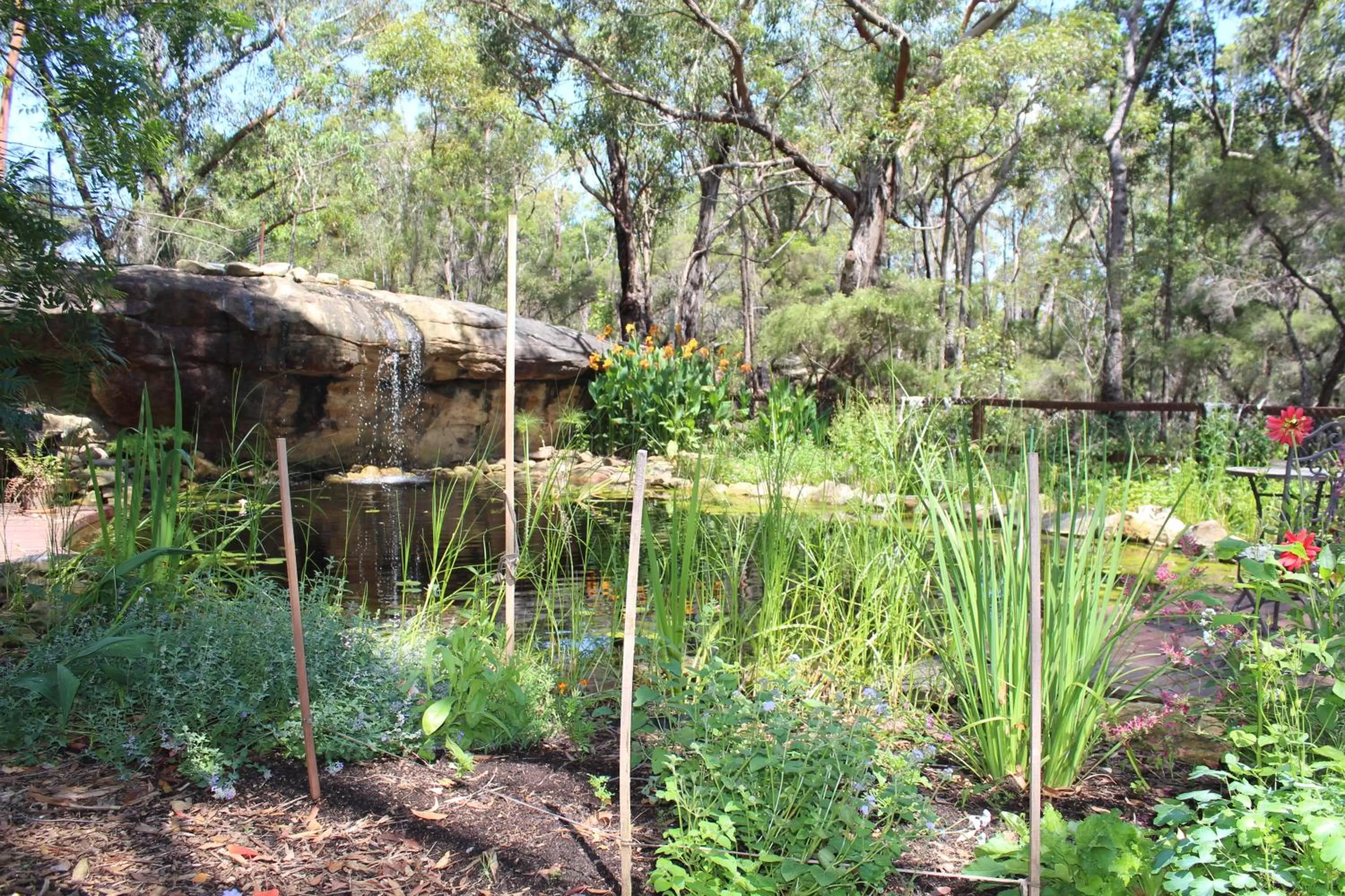 Garden in Storey Grange