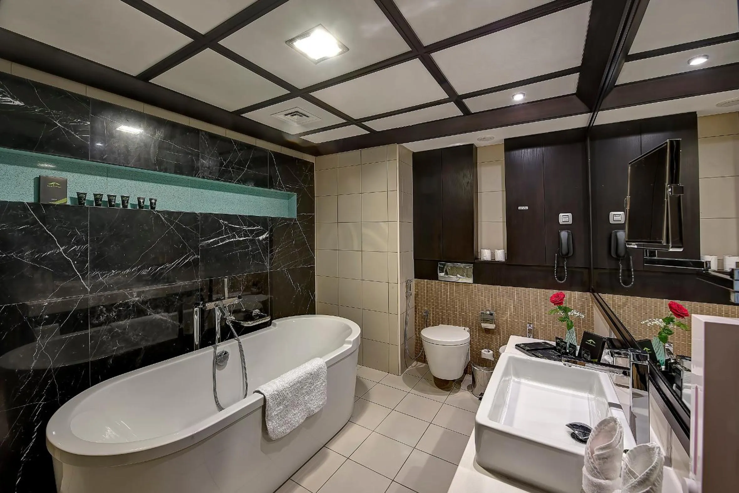 Bathroom in Raintree Rolla Hotel