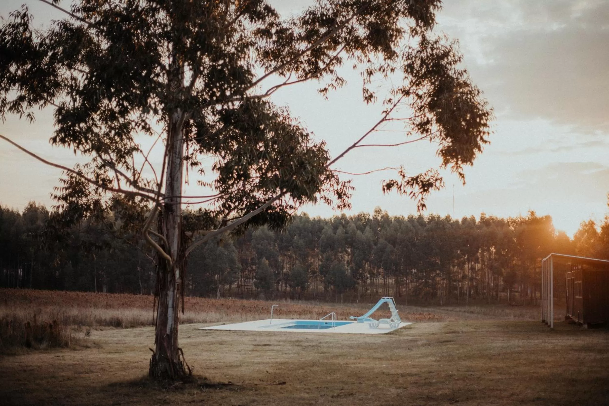 Garden in MUMA Hotel - Museo de la Madera