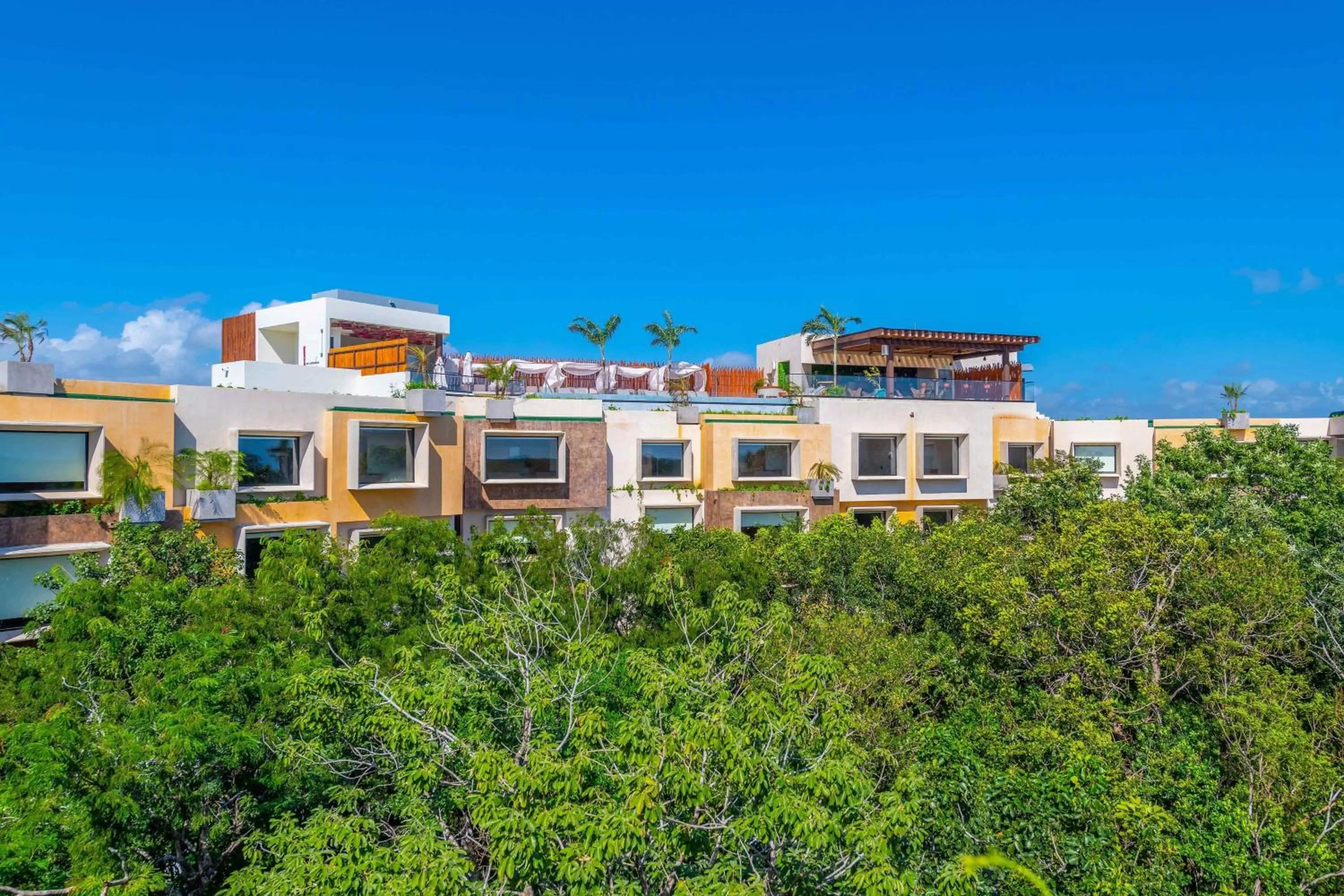 Property building in Aloft Tulum
