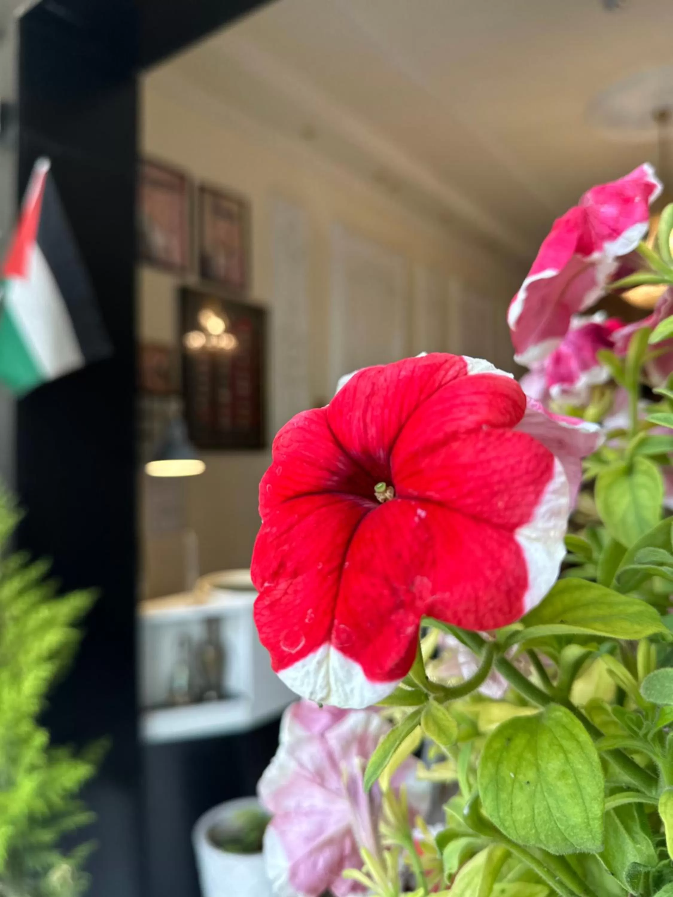 City Citadel Hotel,Amman