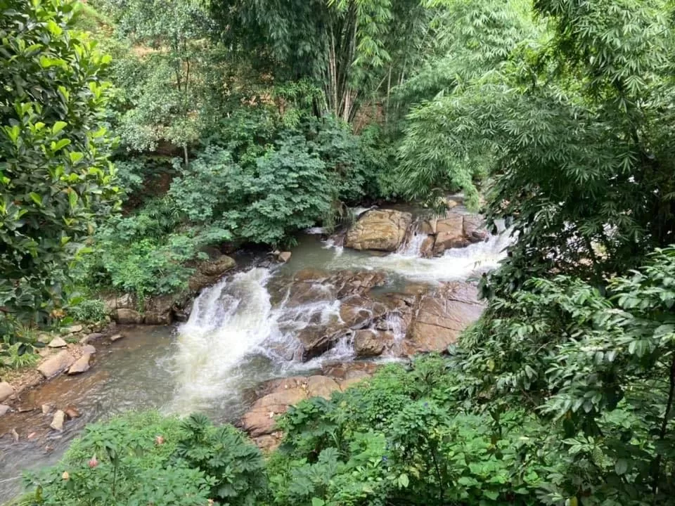 River view in Rock View Rest Hatton