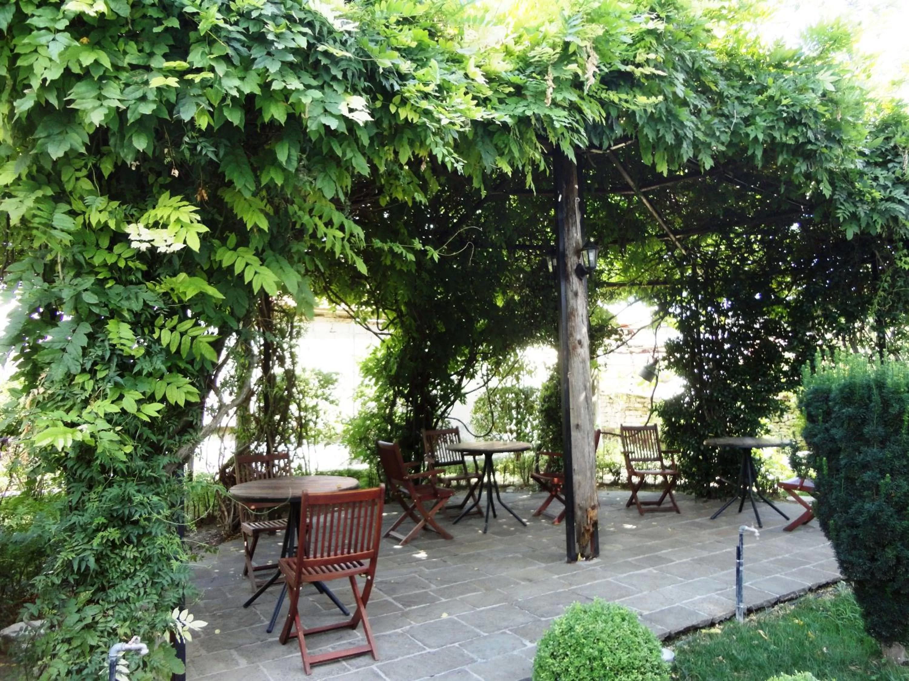 Garden in Hotel Kalemi