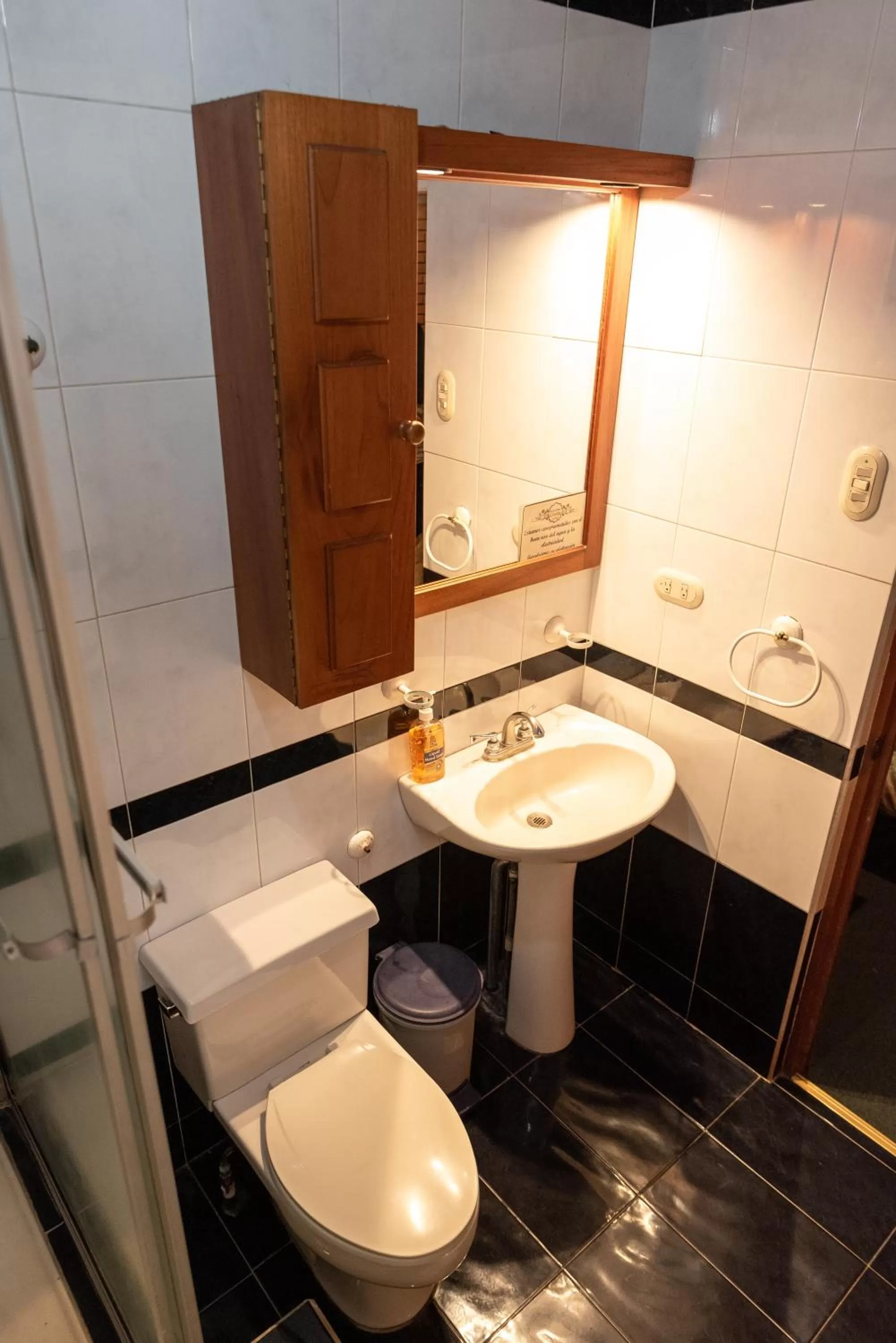 Toilet in La Casa de Mamá Coyita